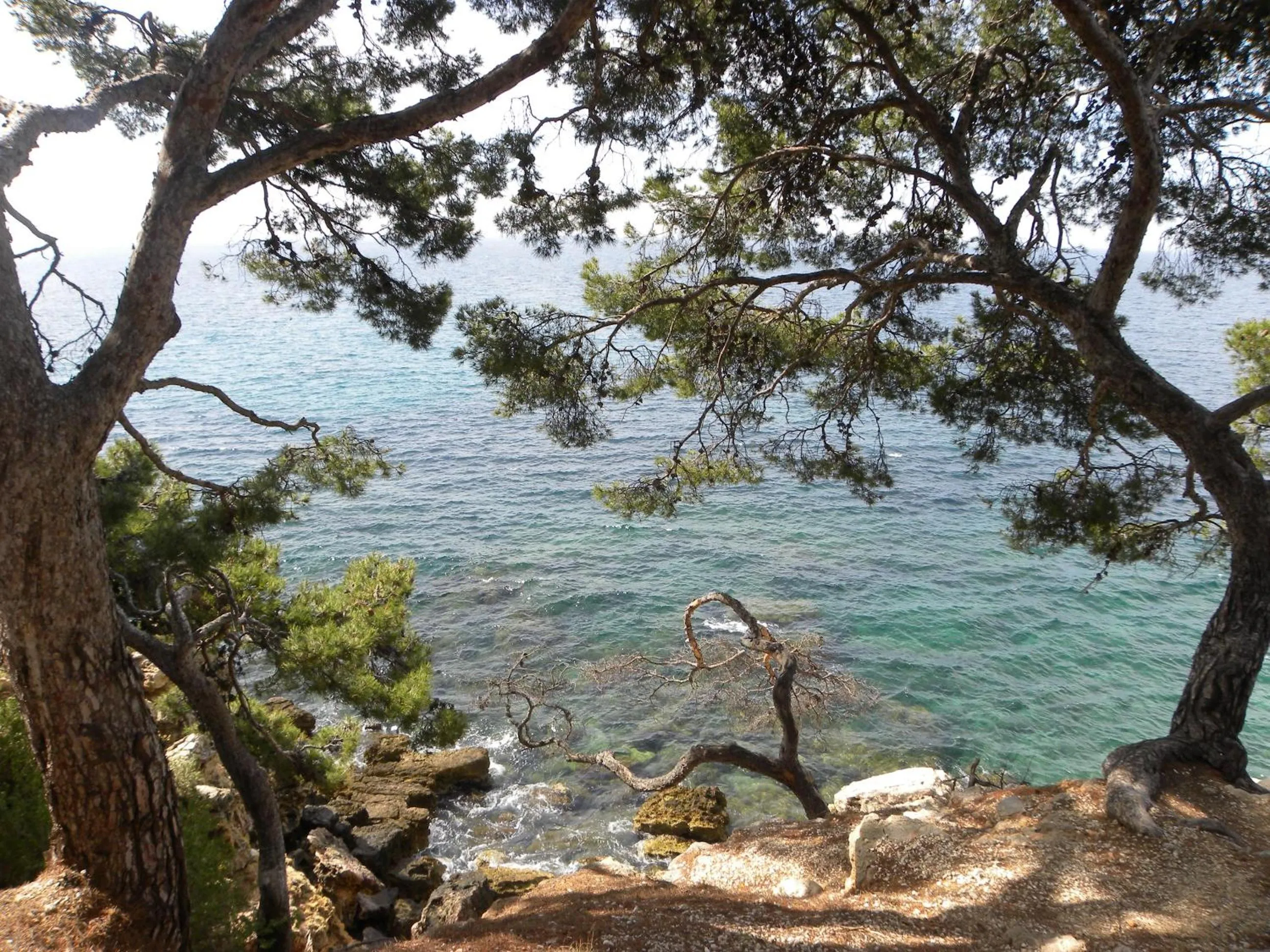 Beach in Sun & Sea Apart