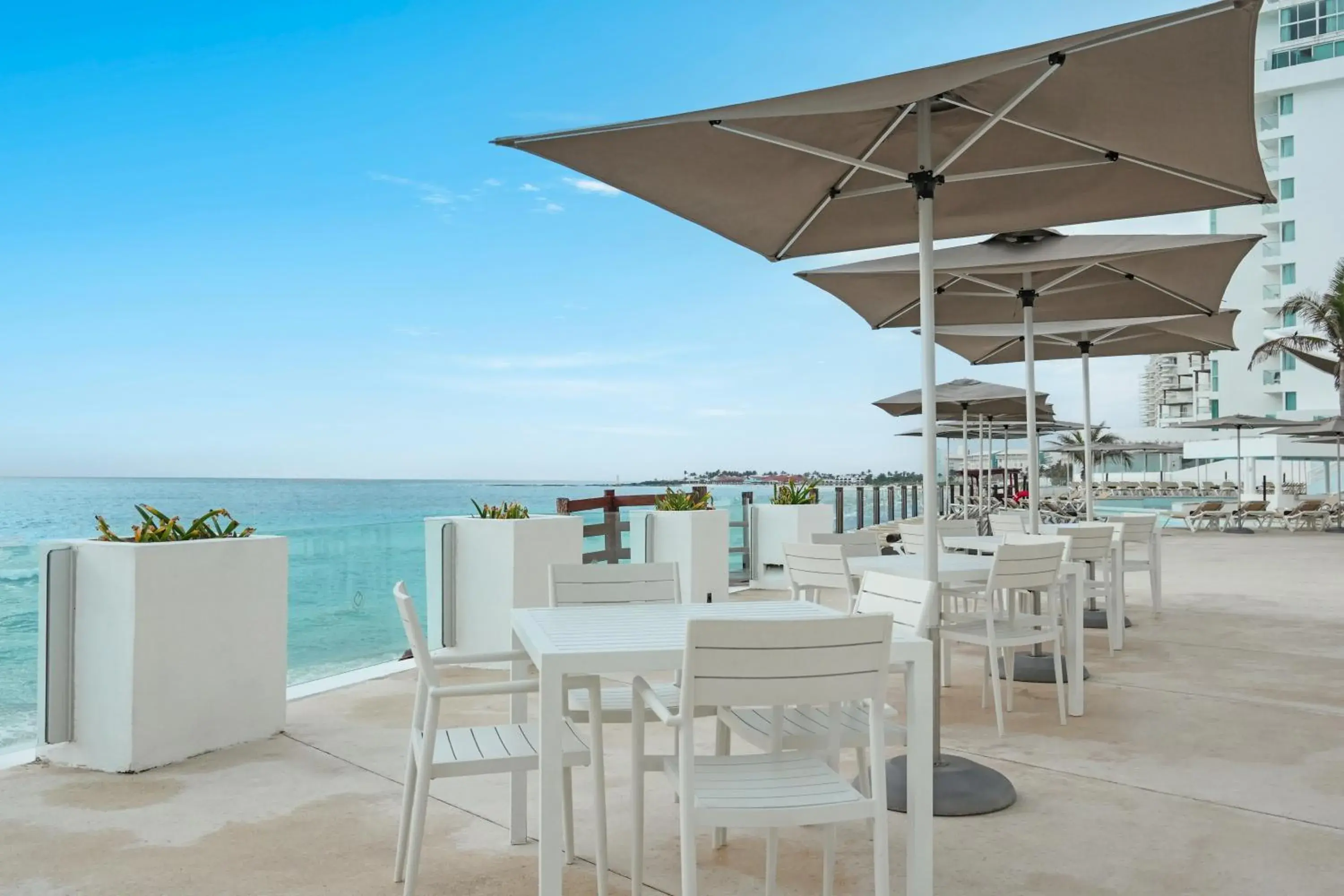 Restaurant/places to eat in Oleo Cancun Playa All Inclusive Resort Restaurant/places to eat in Oleo Cancun Playa All Inclusive Resort