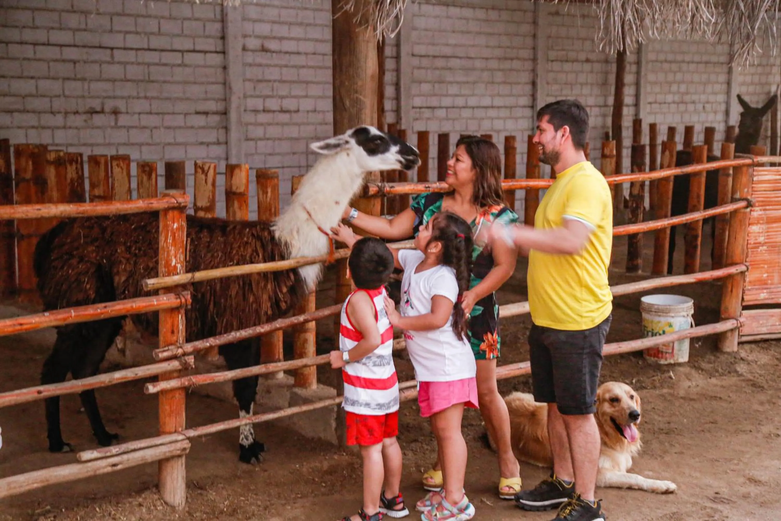 Animals in Hotel Resort Thiago