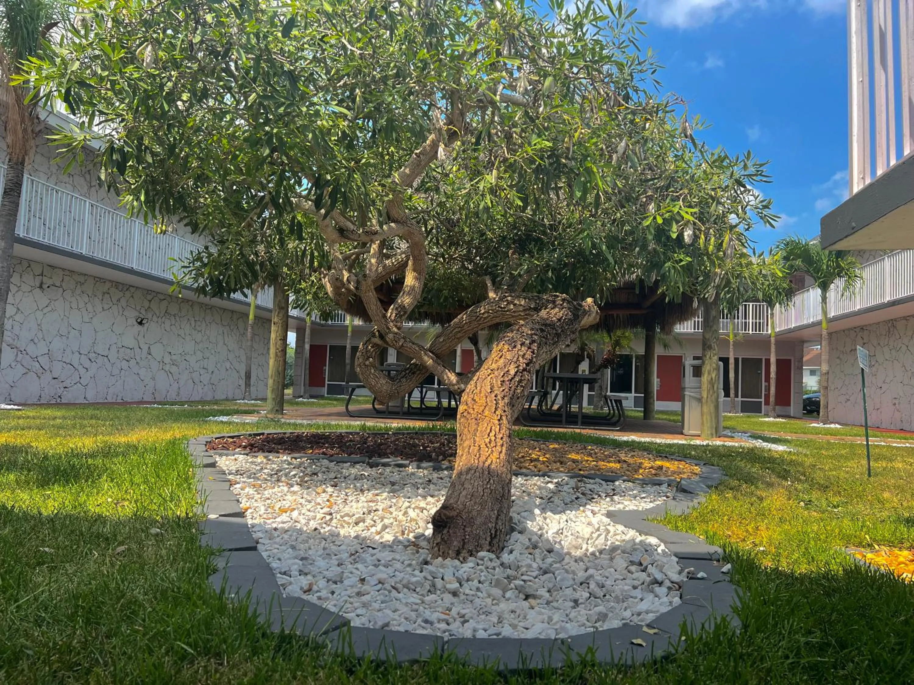 Garden in Garden Inn Homestead/Everglades/Gateway to Keys