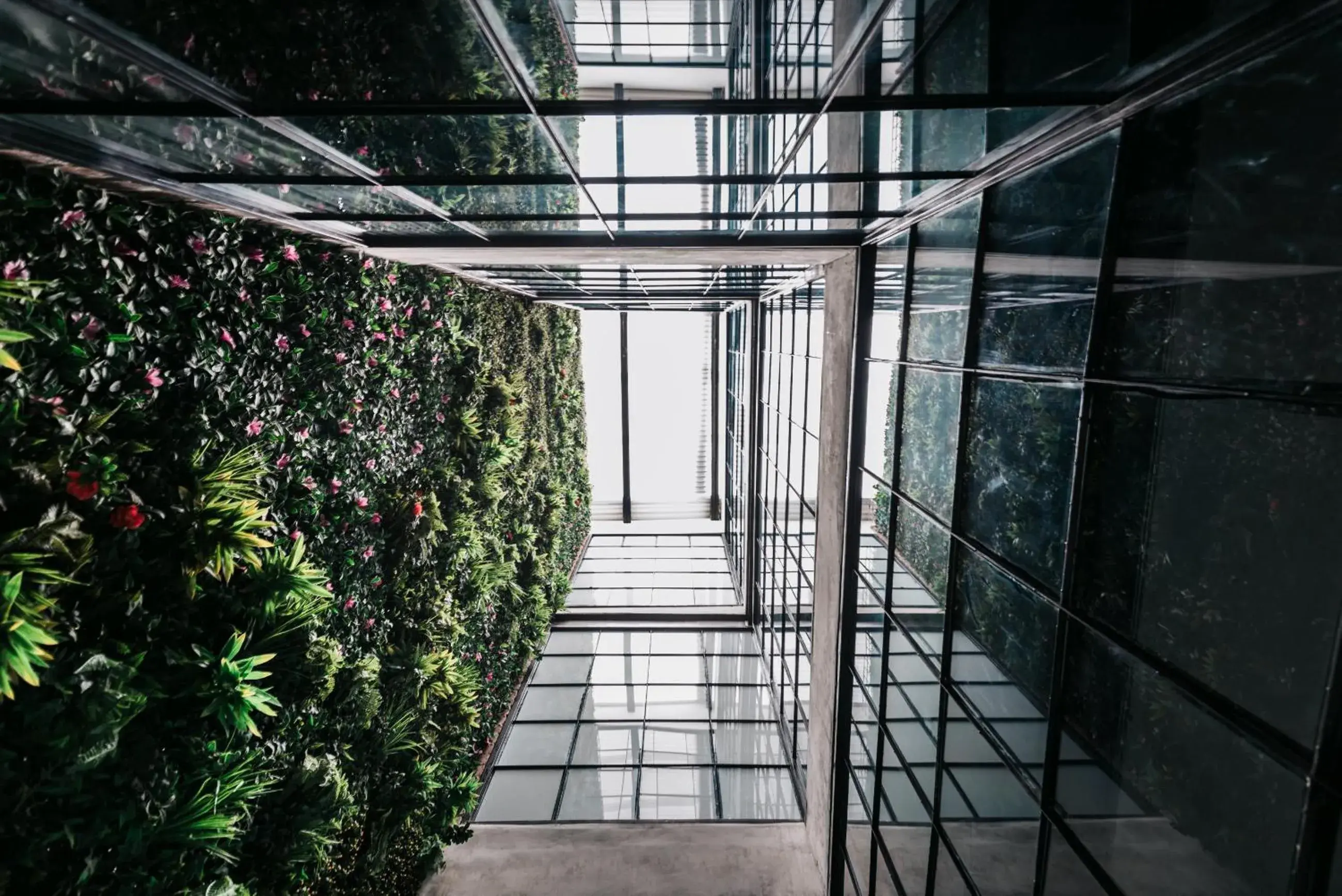 Garden view in Soy Local Provenza Garden view in Soy Local Provenza