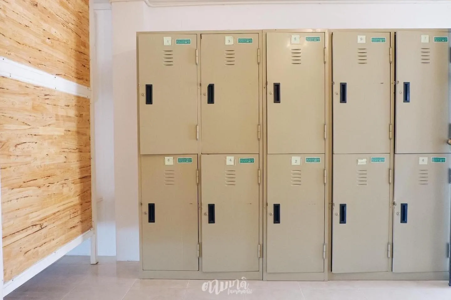 bunk bed in Green Sleep Hostel