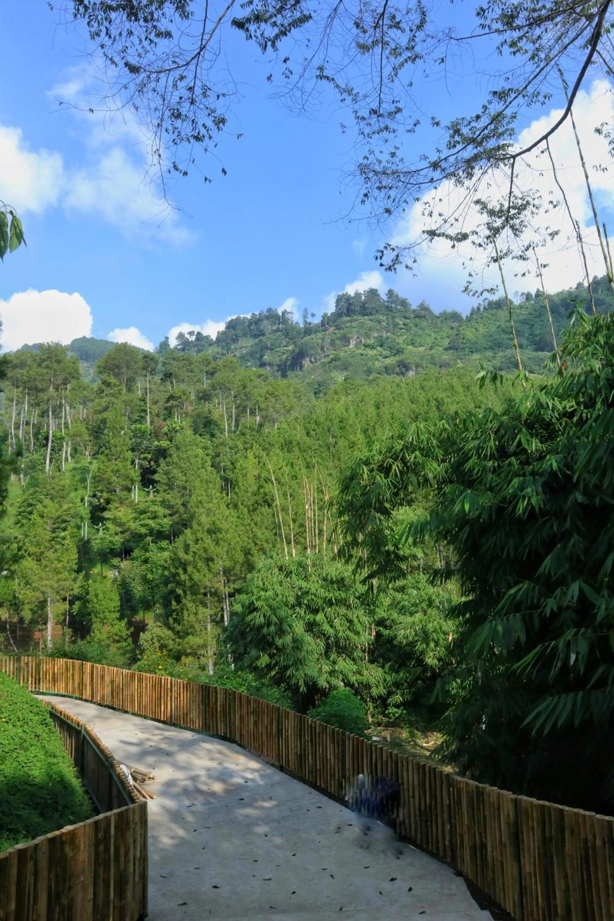 Natural landscape in The Lodge Maribaya