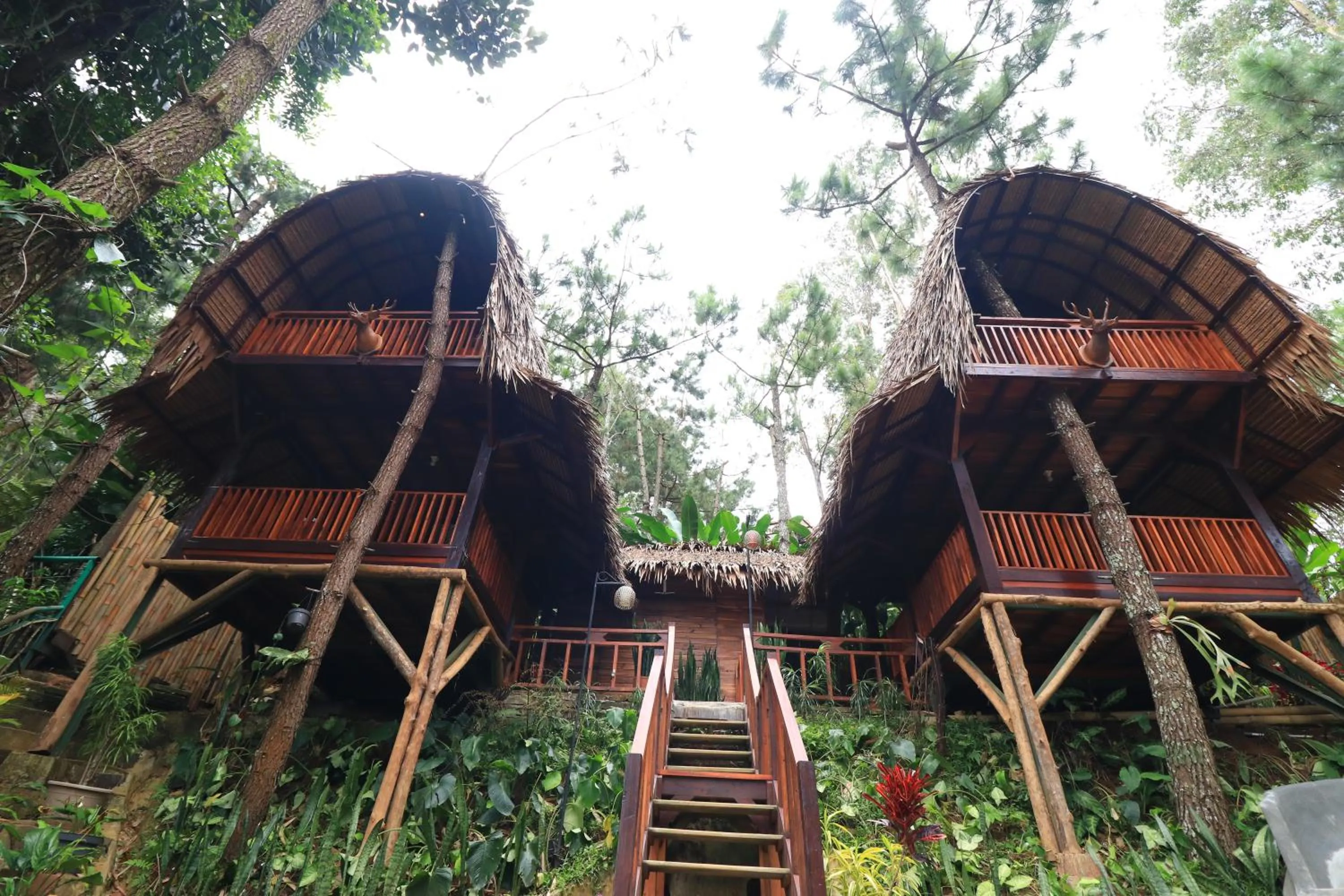 The Lodge Maribaya