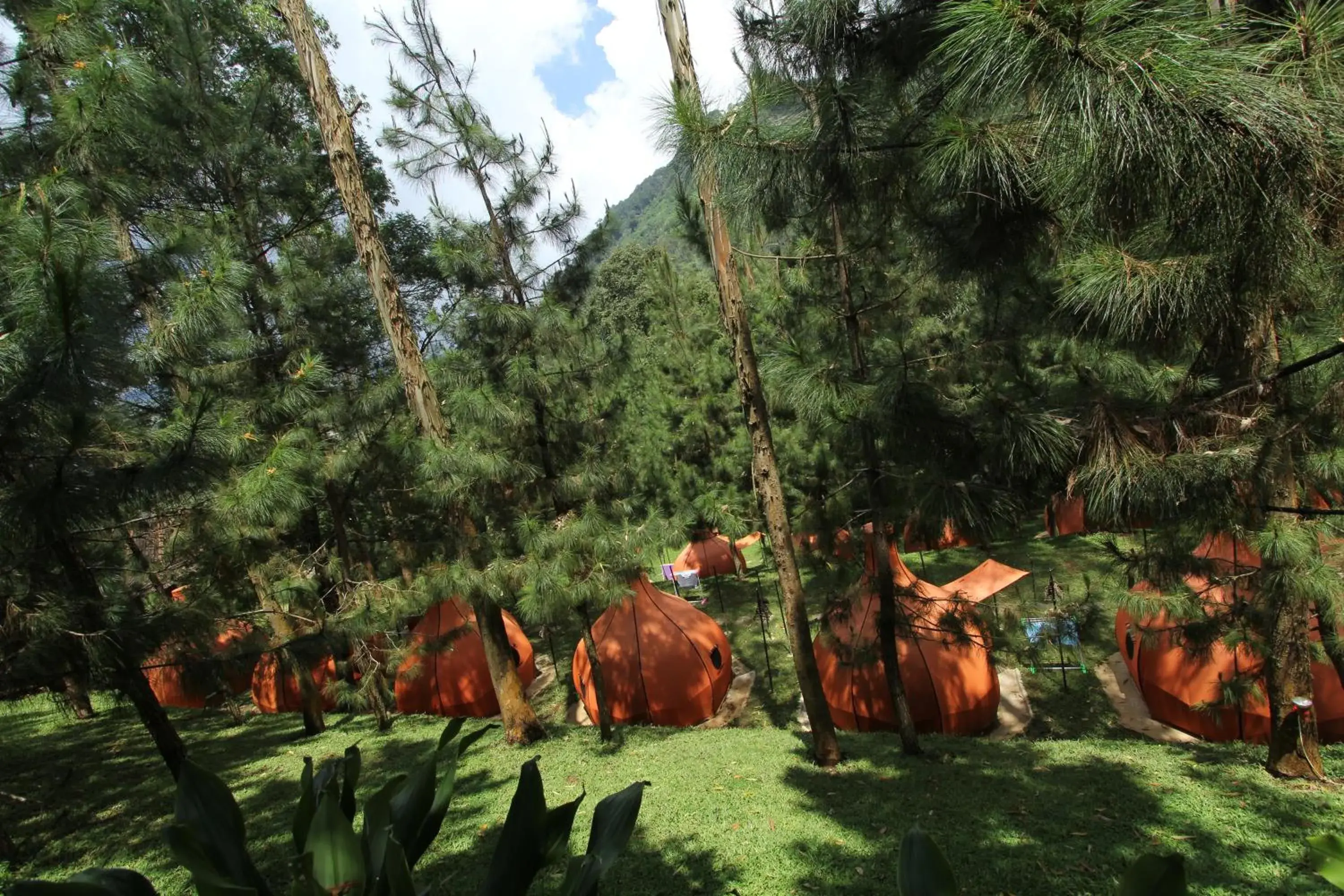 Property building in The Lodge Maribaya Property building in The Lodge Maribaya