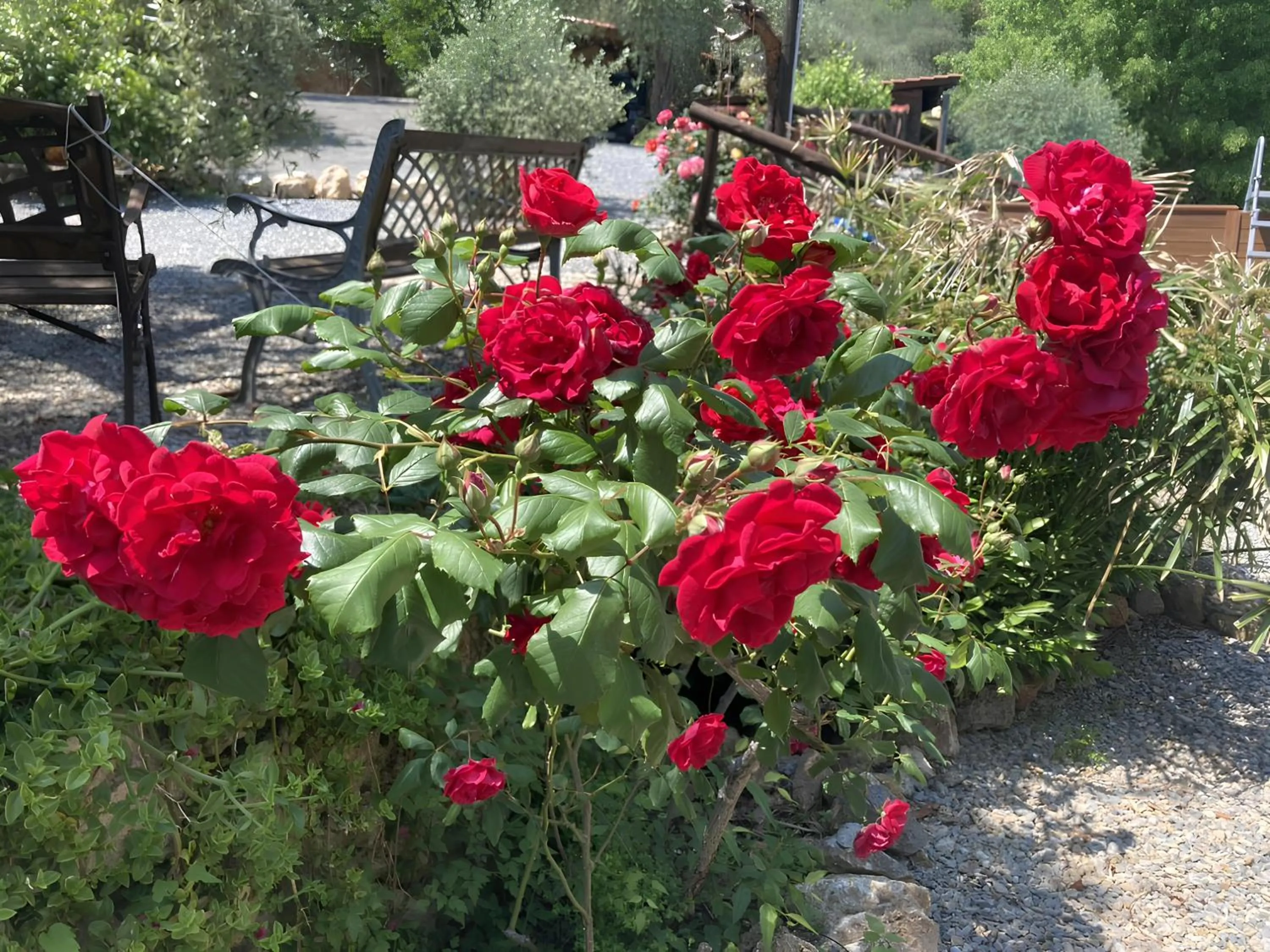 Garden in Ai Cinque Campanili