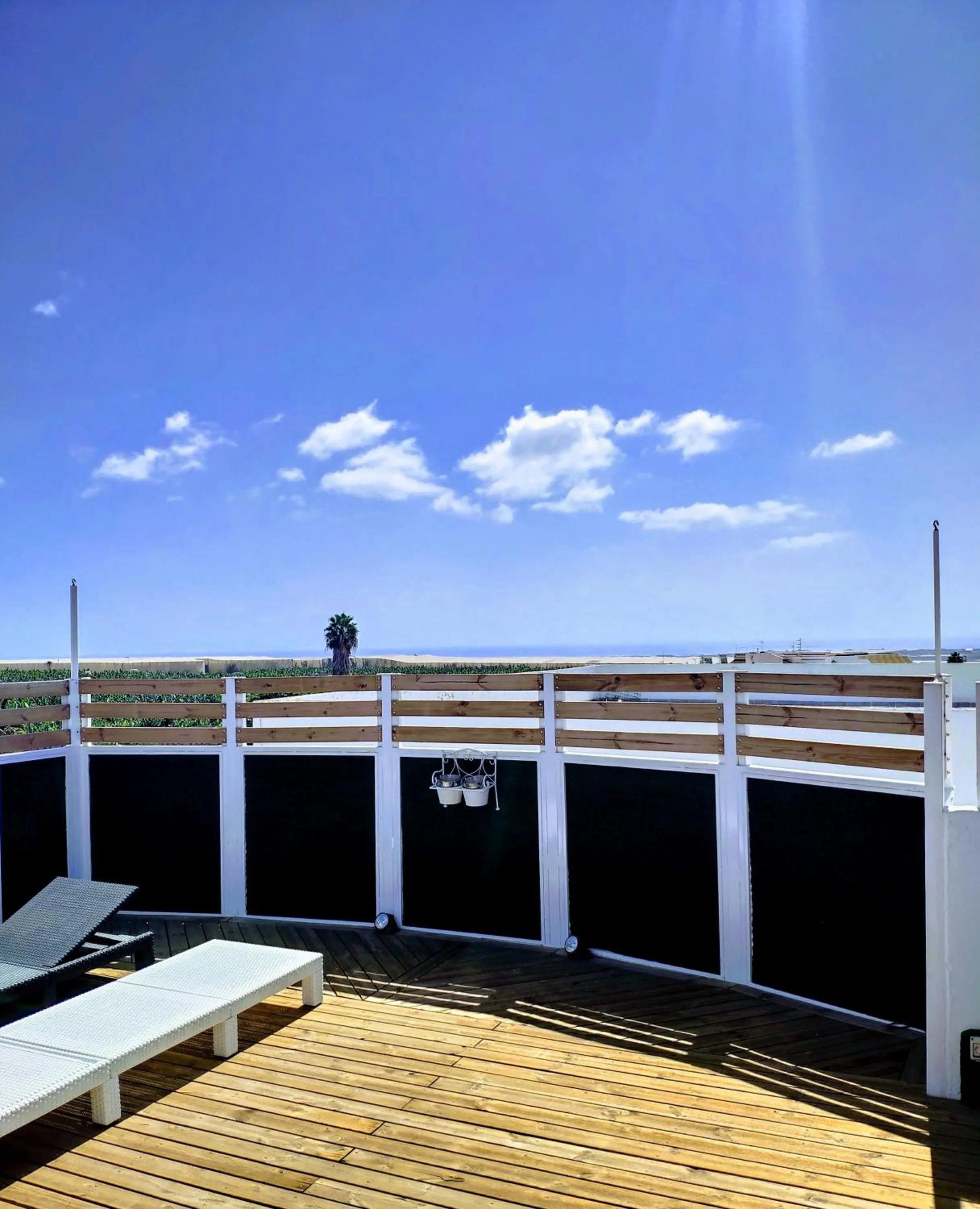 Balcony/Terrace in Hostel Neon Tenerife