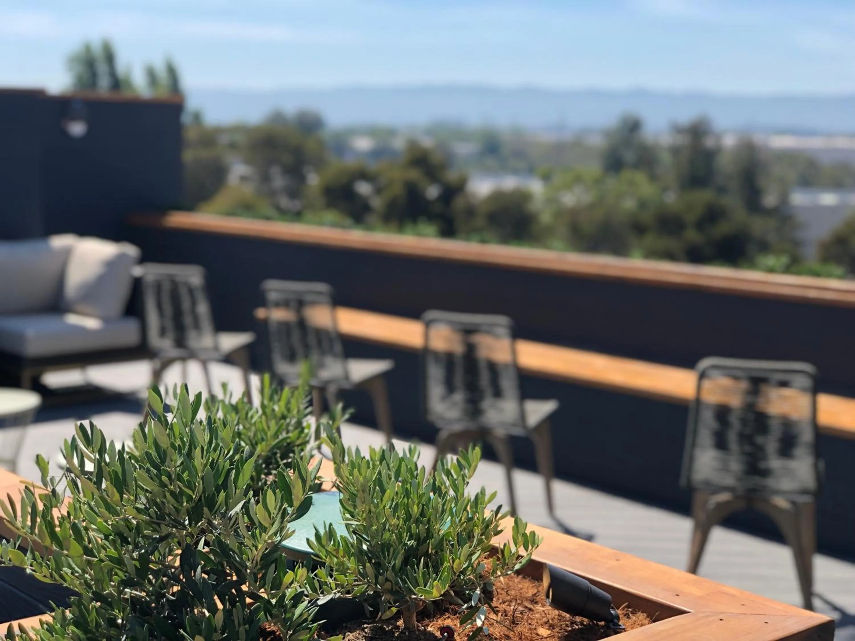 Lobby or reception in Holiday Inn & Suites Silicon Valley - Milpitas by IHG