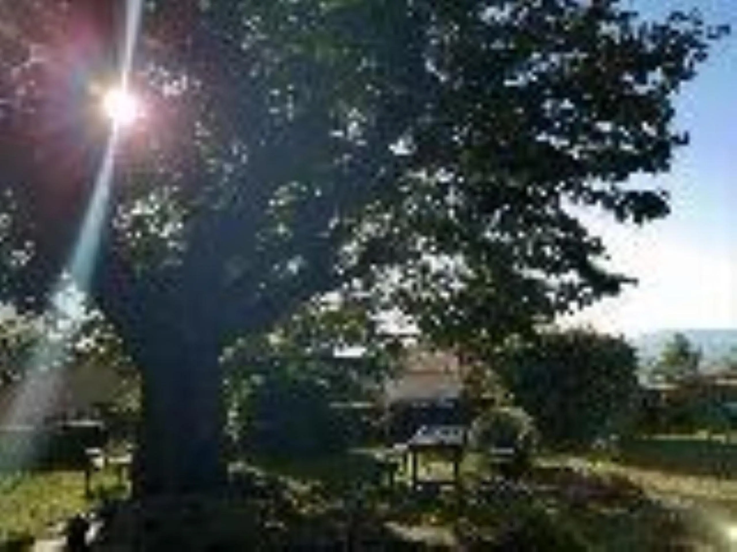 Natural landscape in Chateau De Riverie chambres et table d'hôtes
