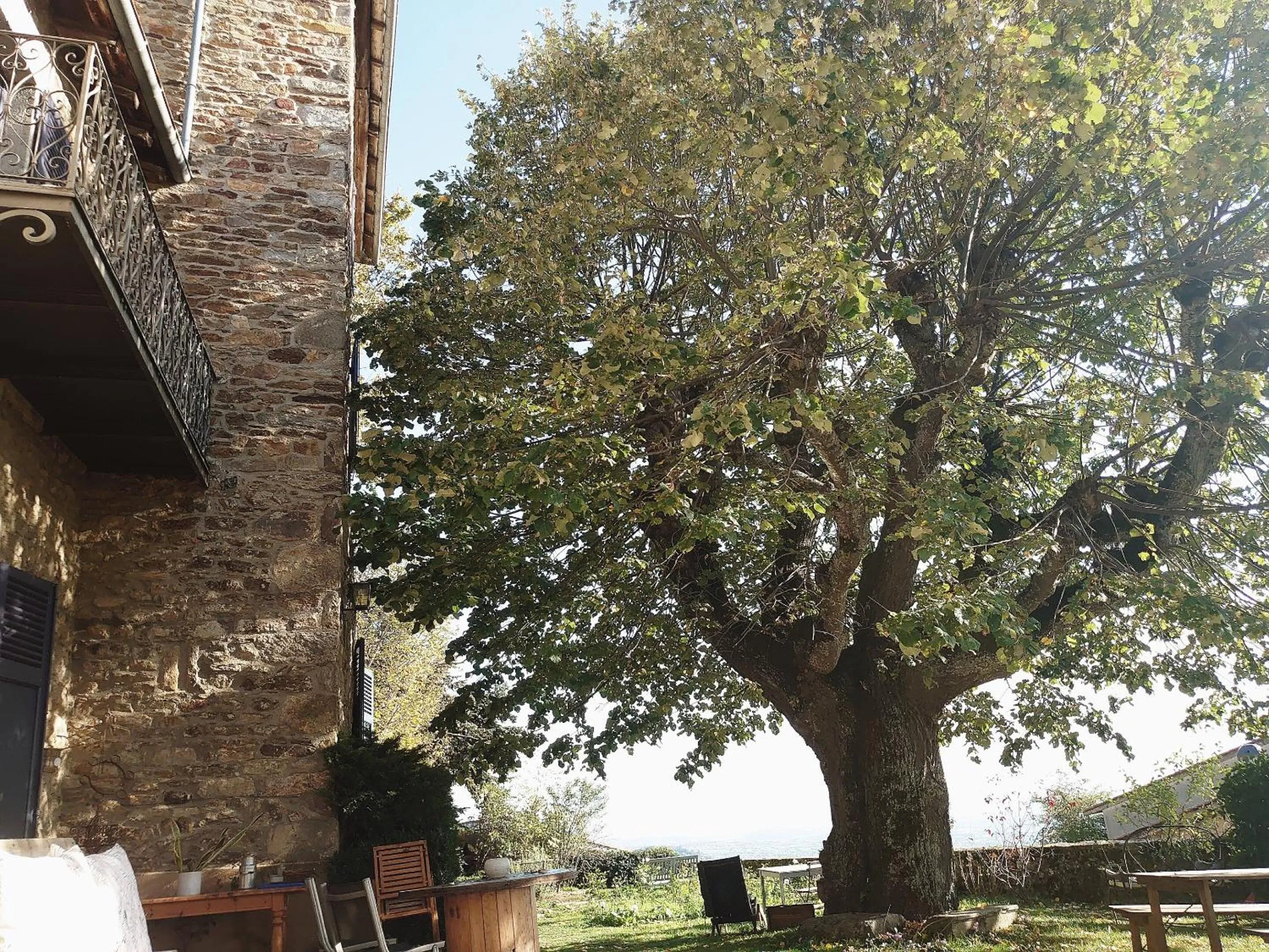 Garden in Chateau De Riverie chambres et table d'hôtes