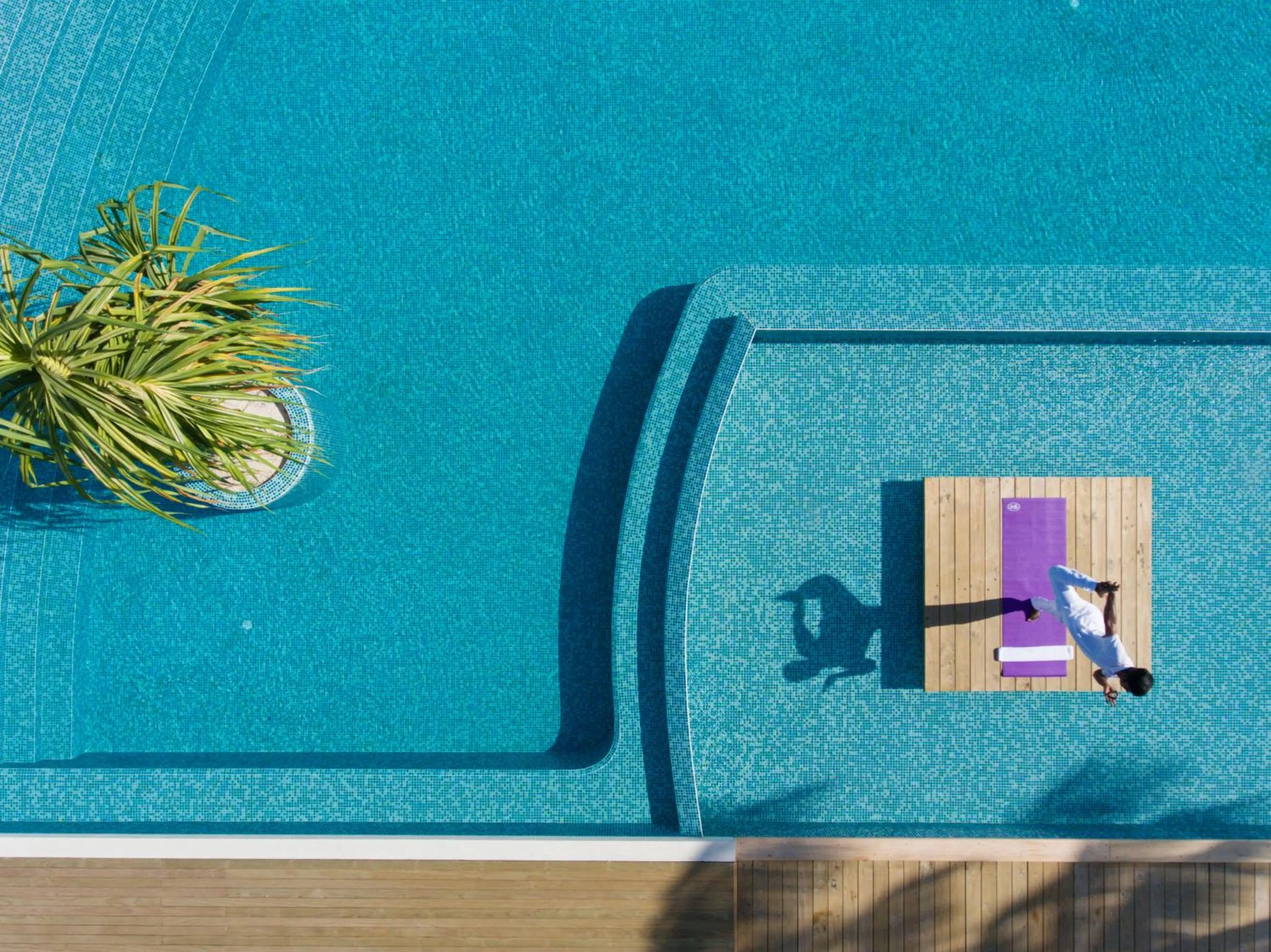 Restaurant/places to eat in Dhigali Maldives - A Premium All-Inclusive Resort