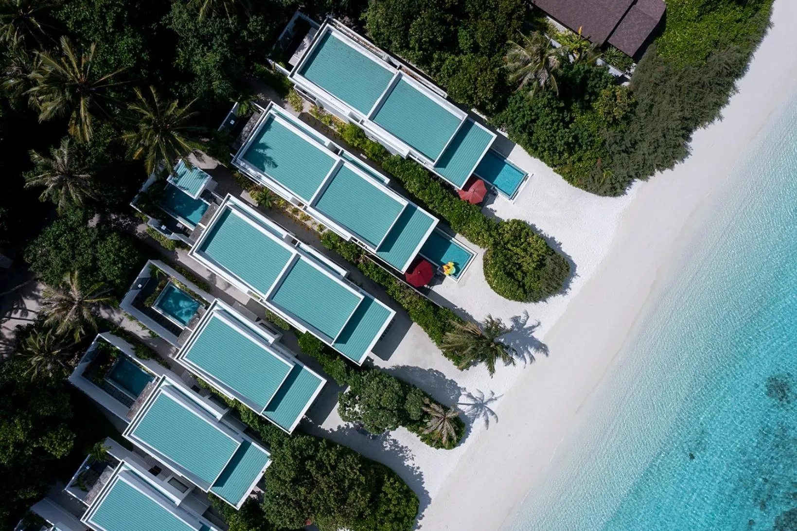 Natural landscape in Dhigali Maldives - A Premium All-Inclusive Resort