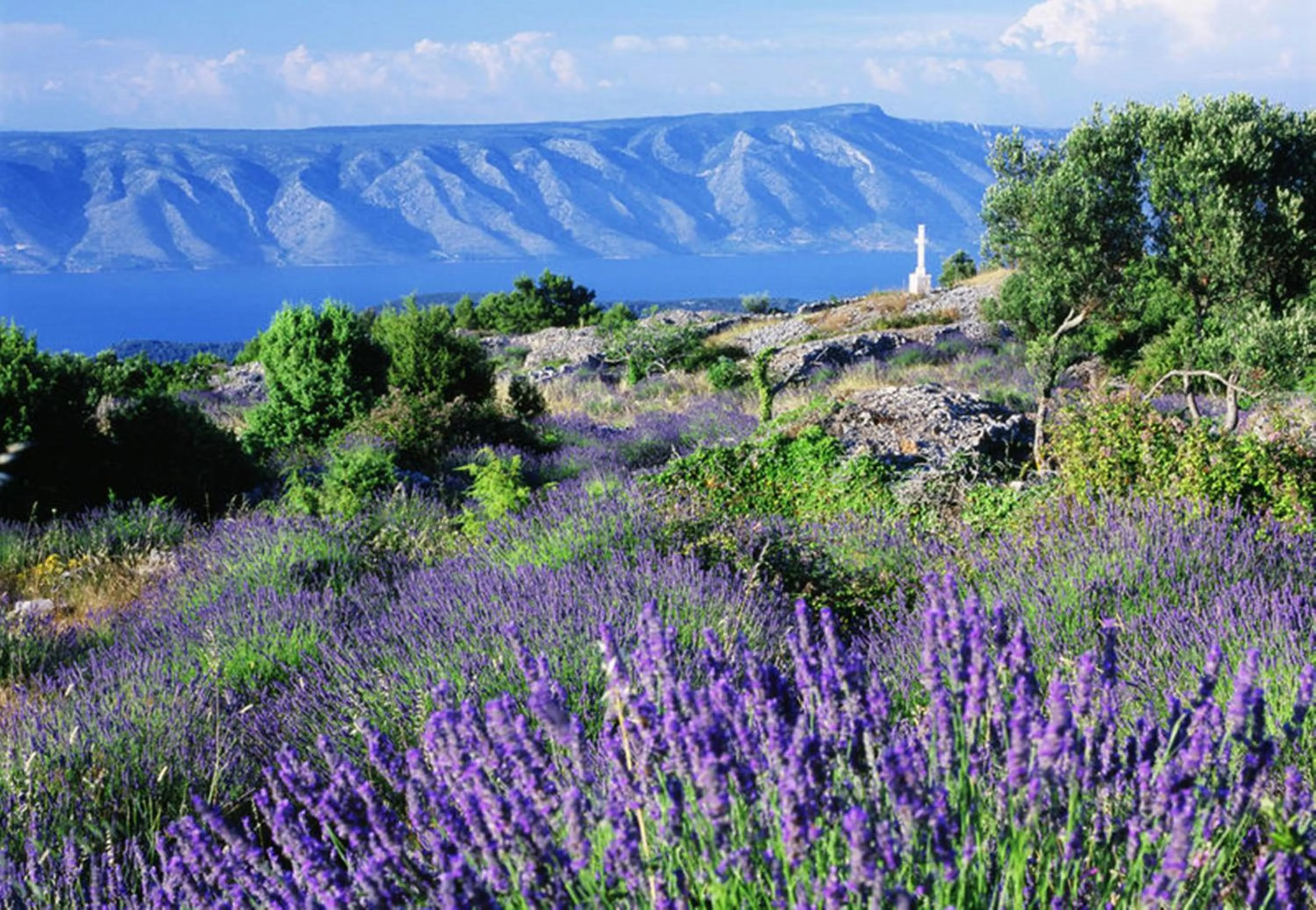 Natural landscape in Fontana Resort