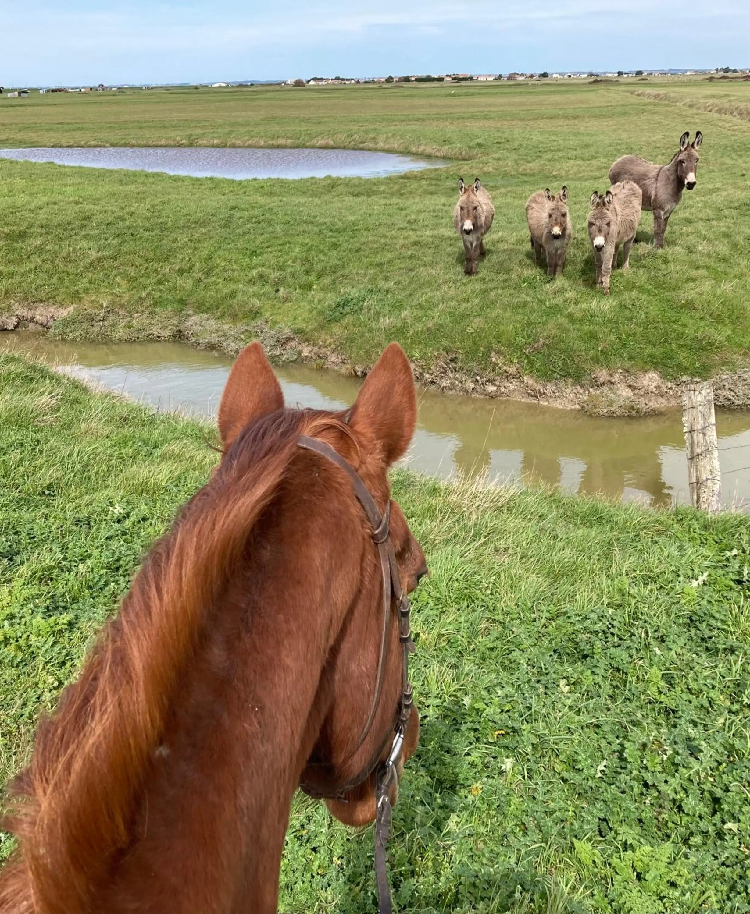 Les Pensions du Joslin