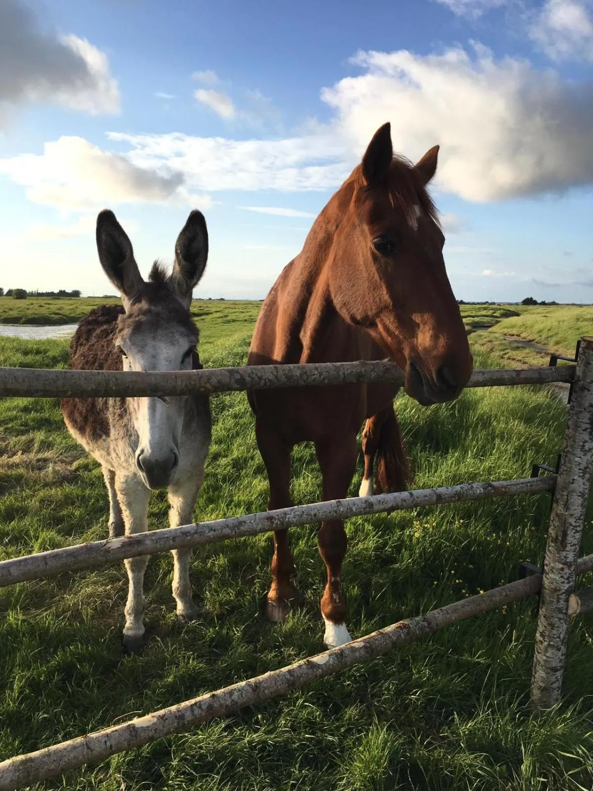 Les Pensions du Joslin