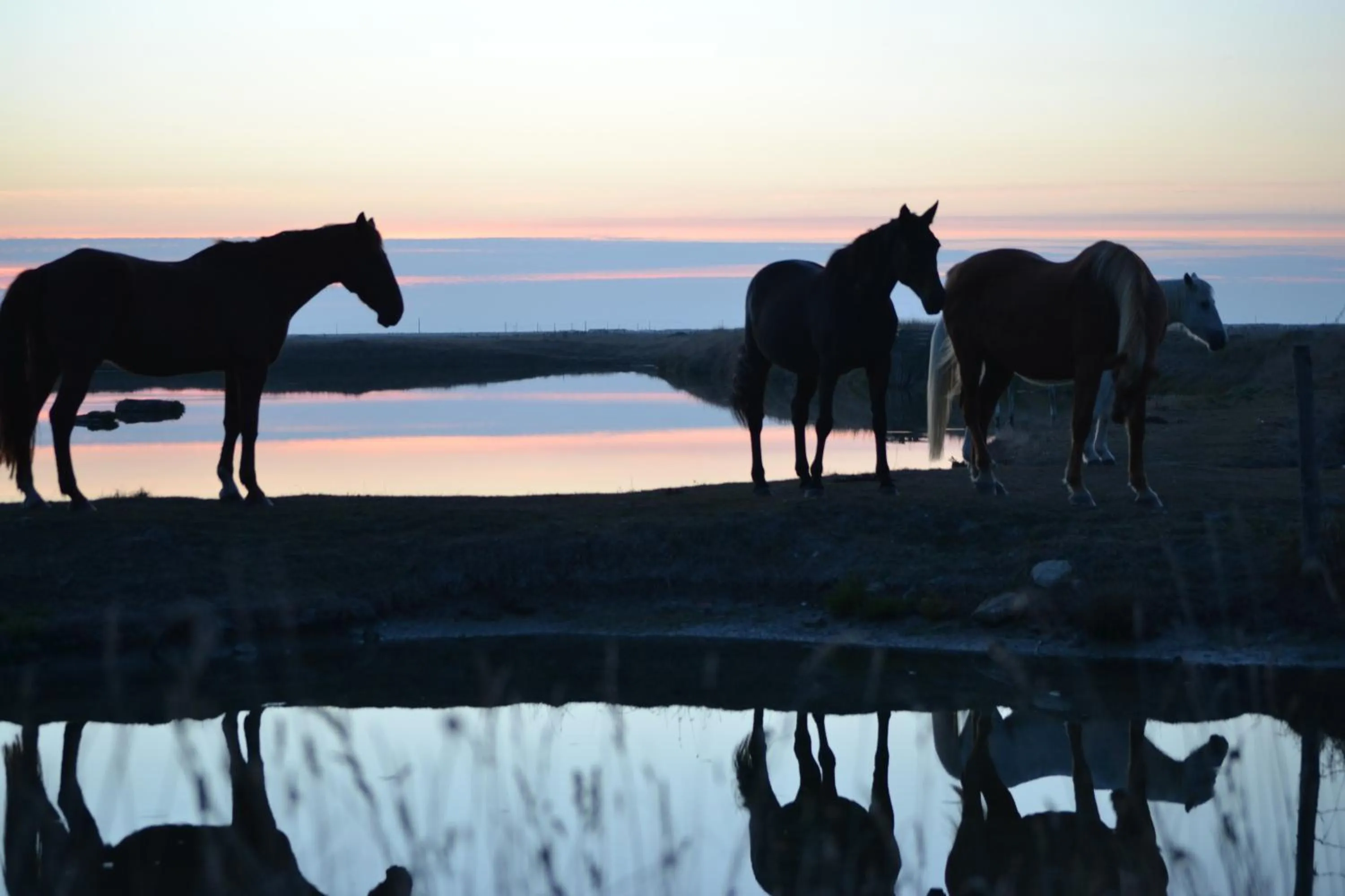 View (from property/room) in Les Pensions du Joslin