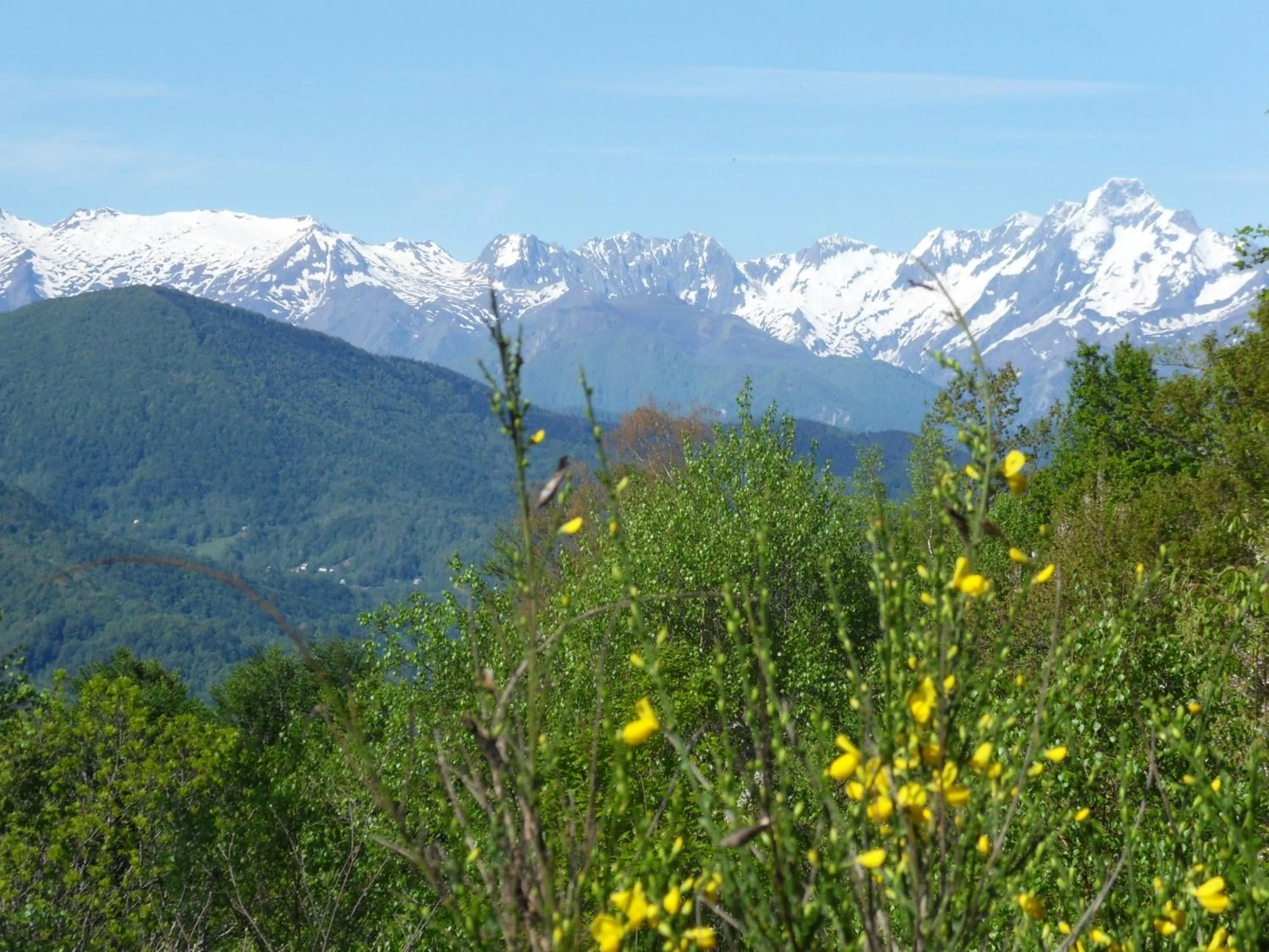 Other in chambres et table d'hôtes du Péré