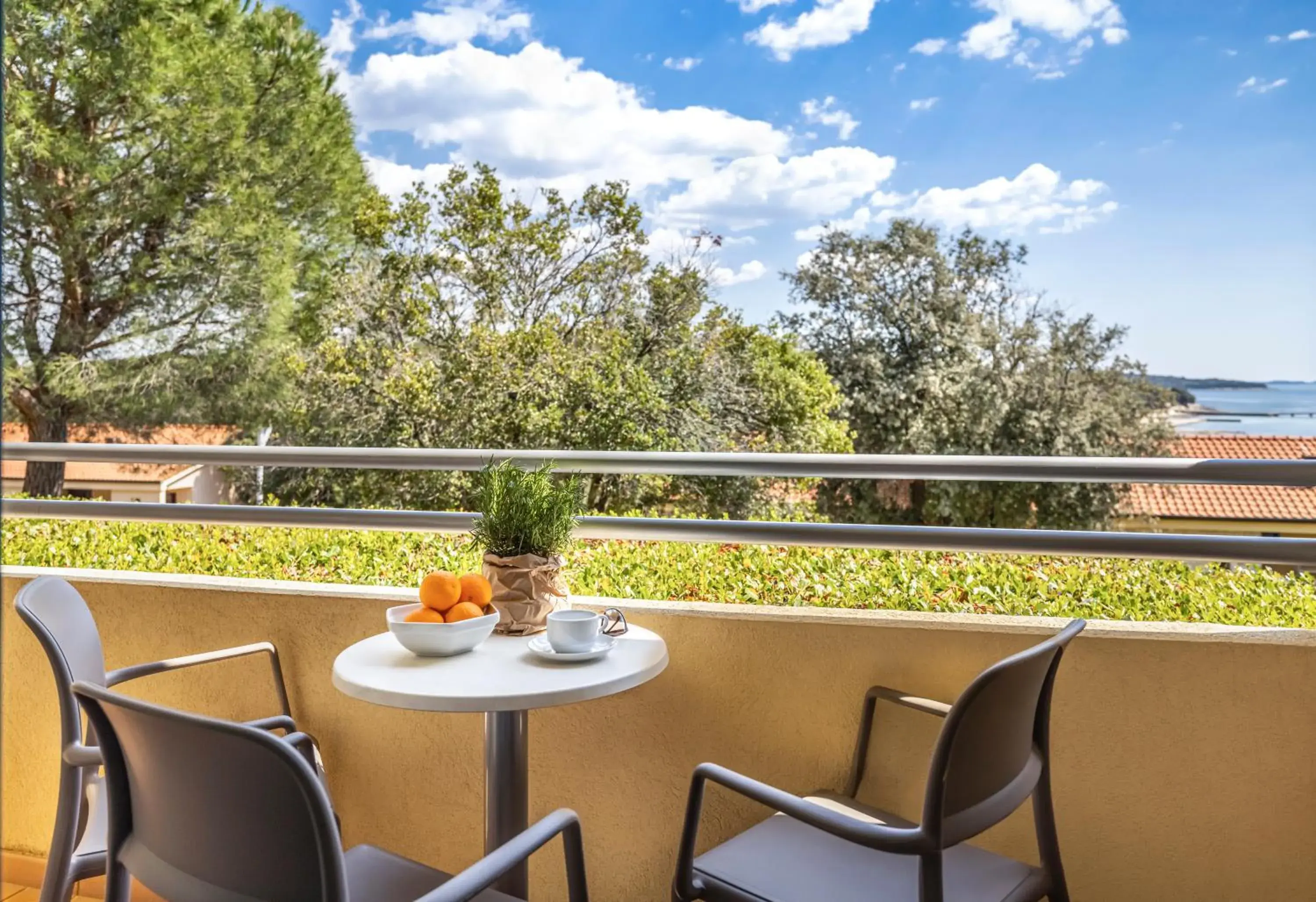 Balcony/Terrace in Resort Petalon