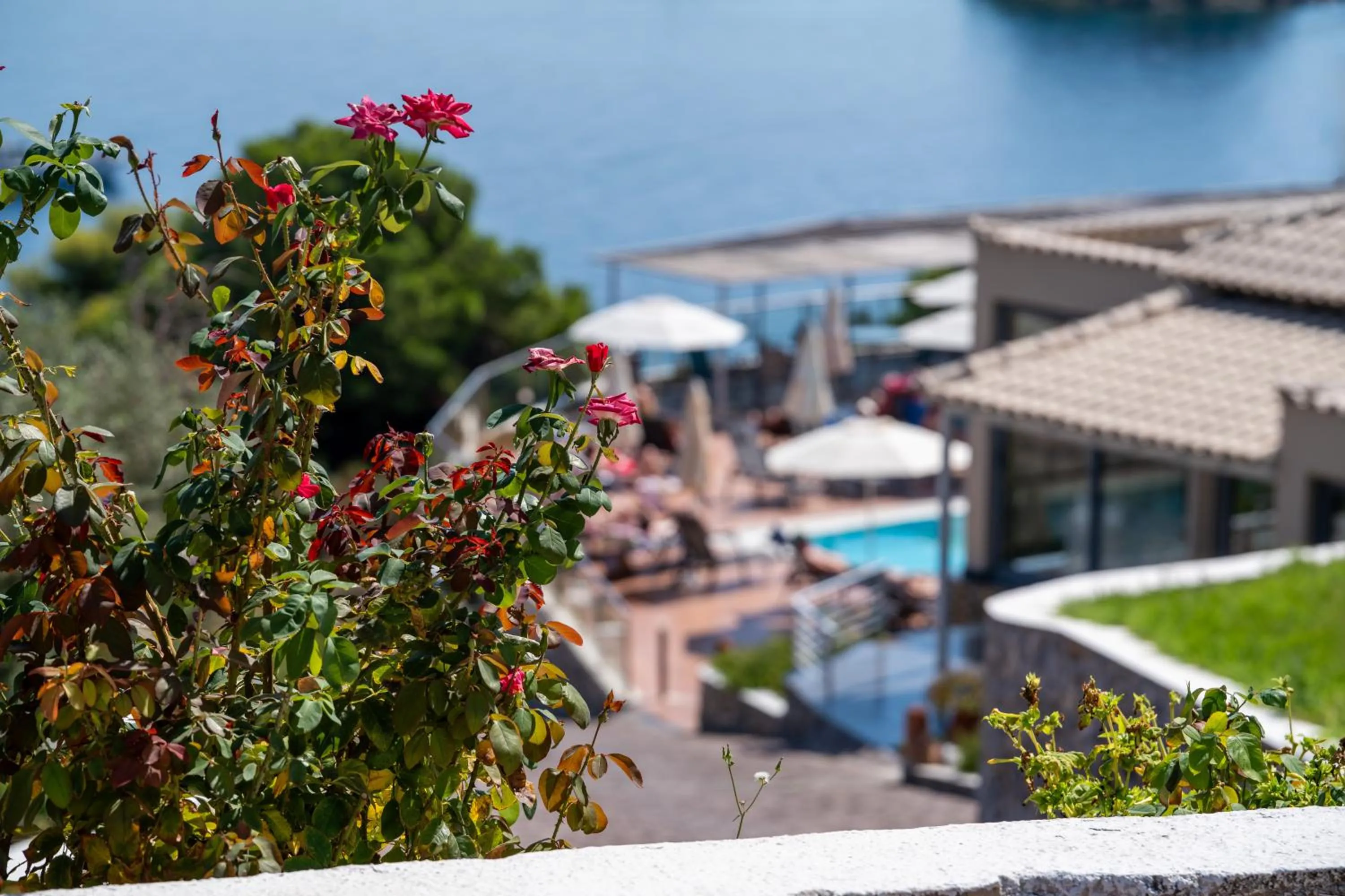 Property building in La Luna Hotel