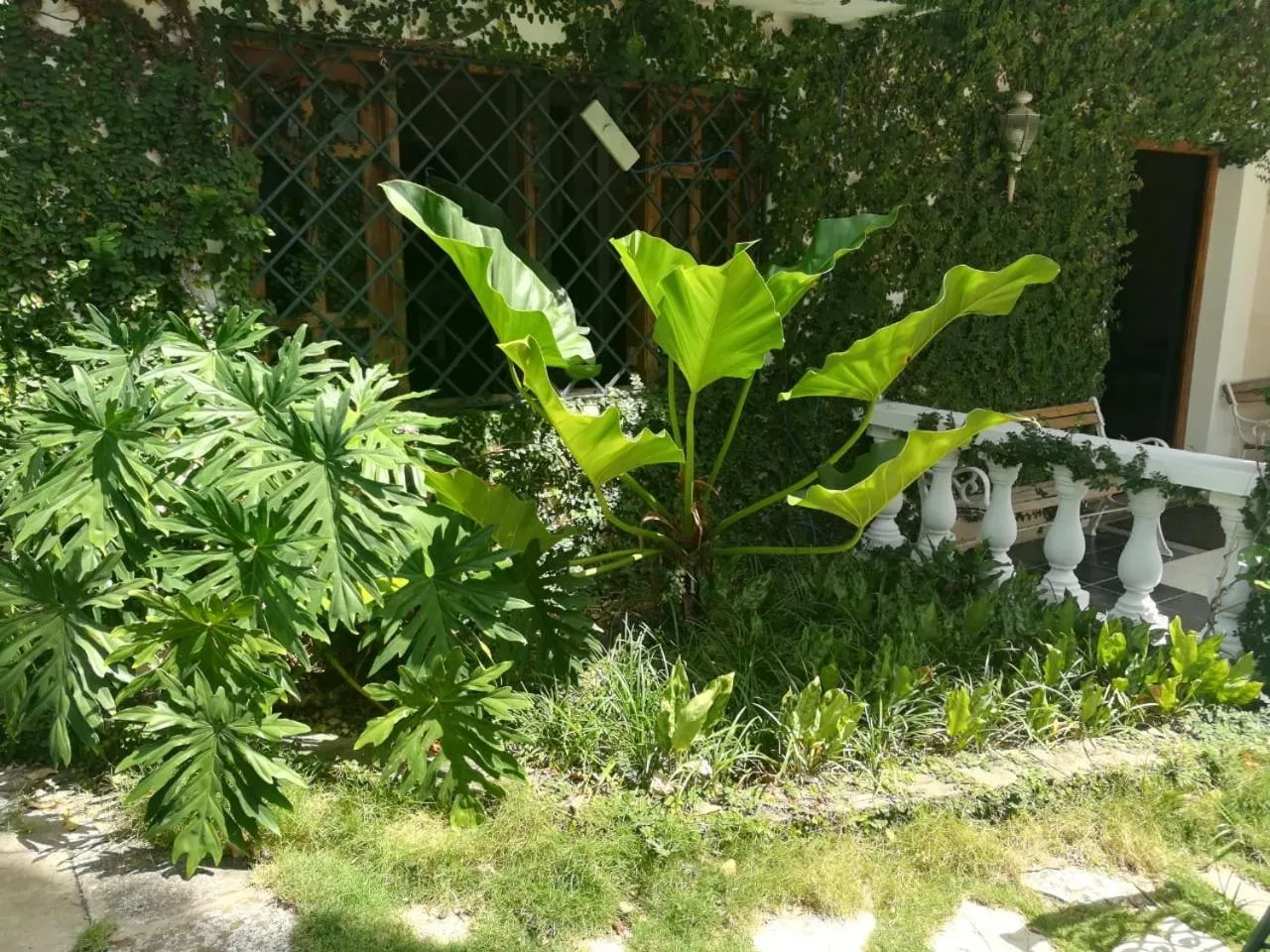 Villa Carolina Bed and Breakfast