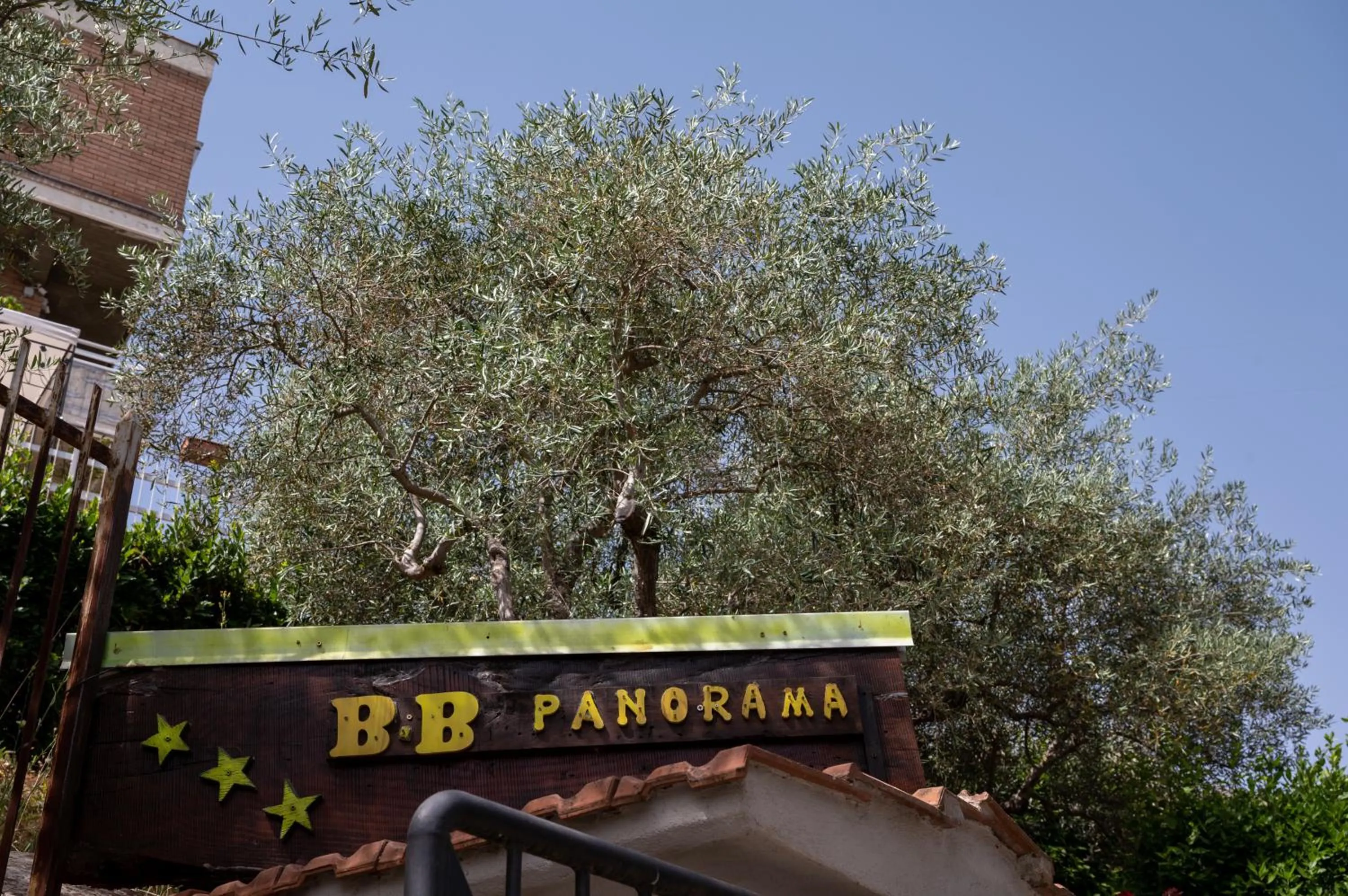 B&B Panorama