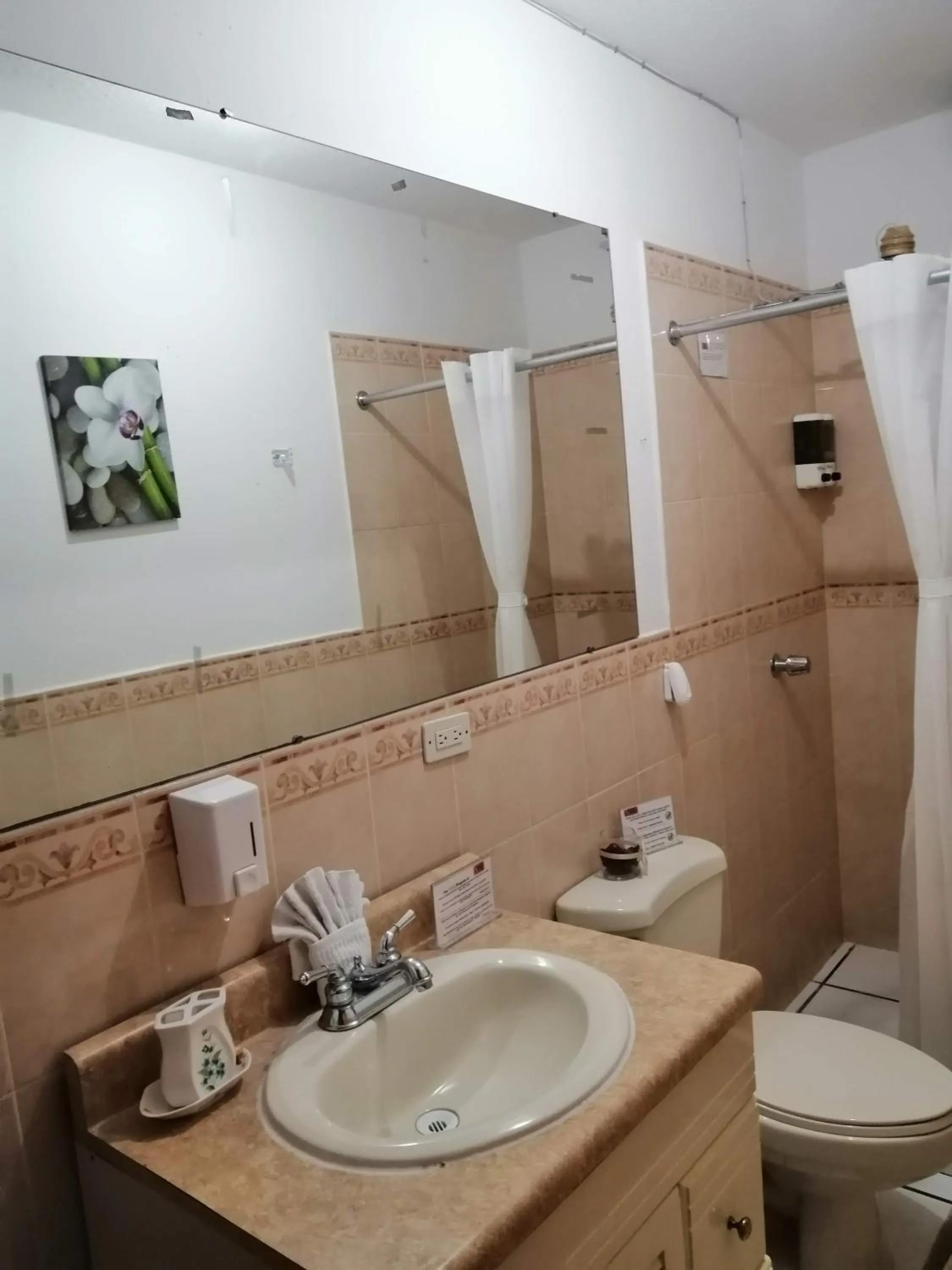 Novohostal B&B