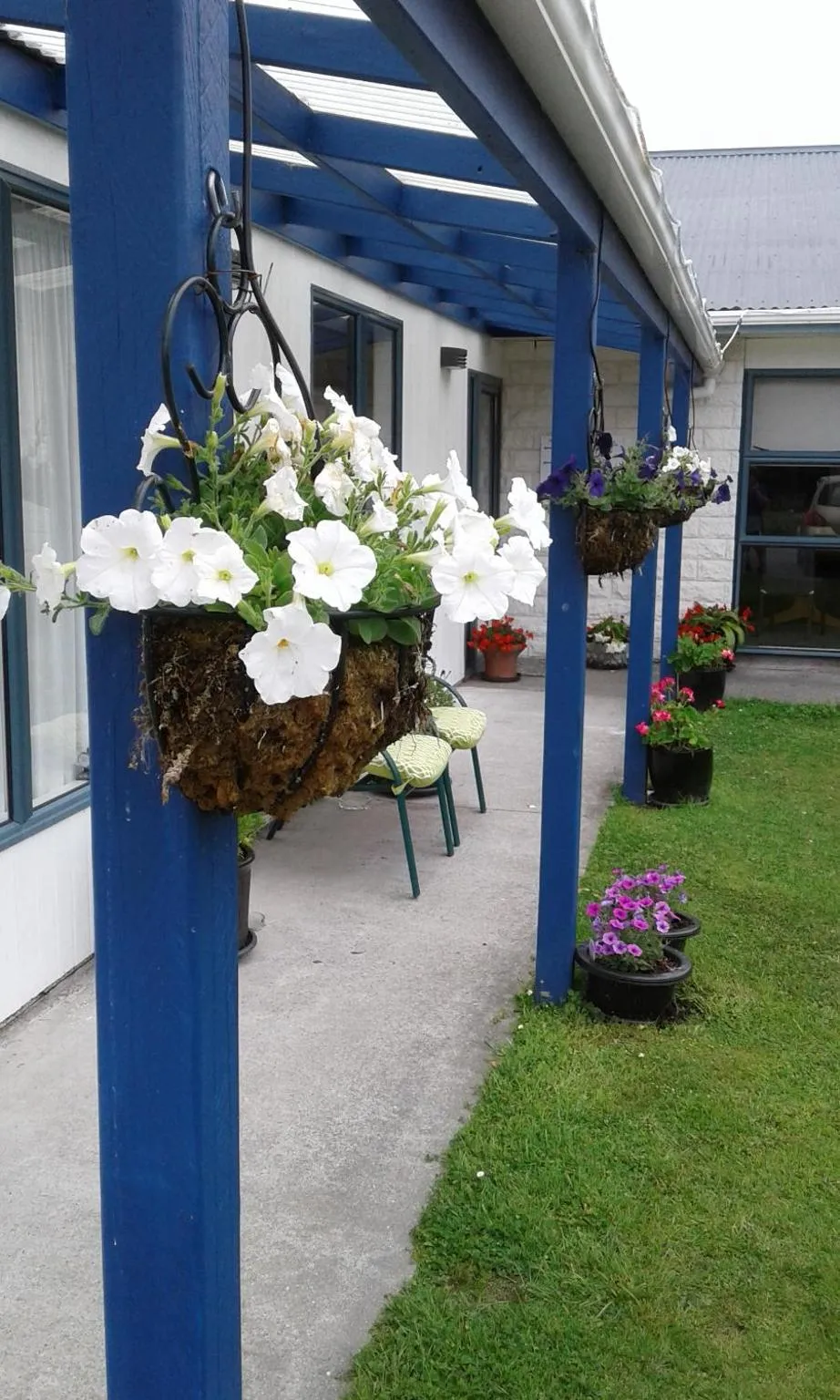 Patio in Hokitika - Blue Spur Bed and Breakfast