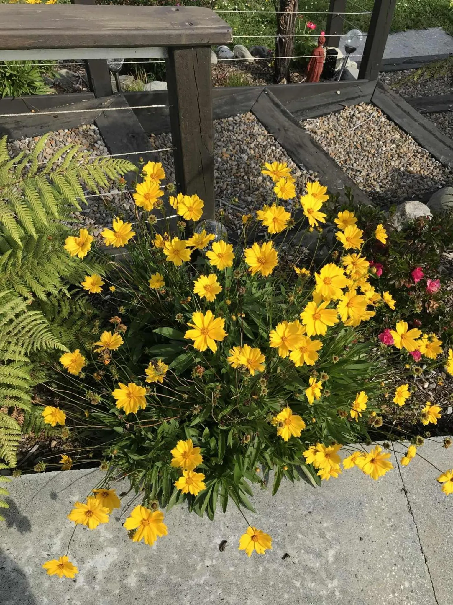 Hokitika - Blue Spur Bed and Breakfast