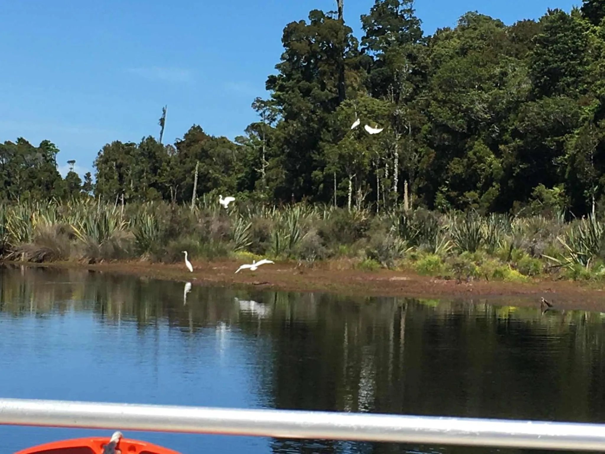 Hokitika - Blue Spur Bed and Breakfast