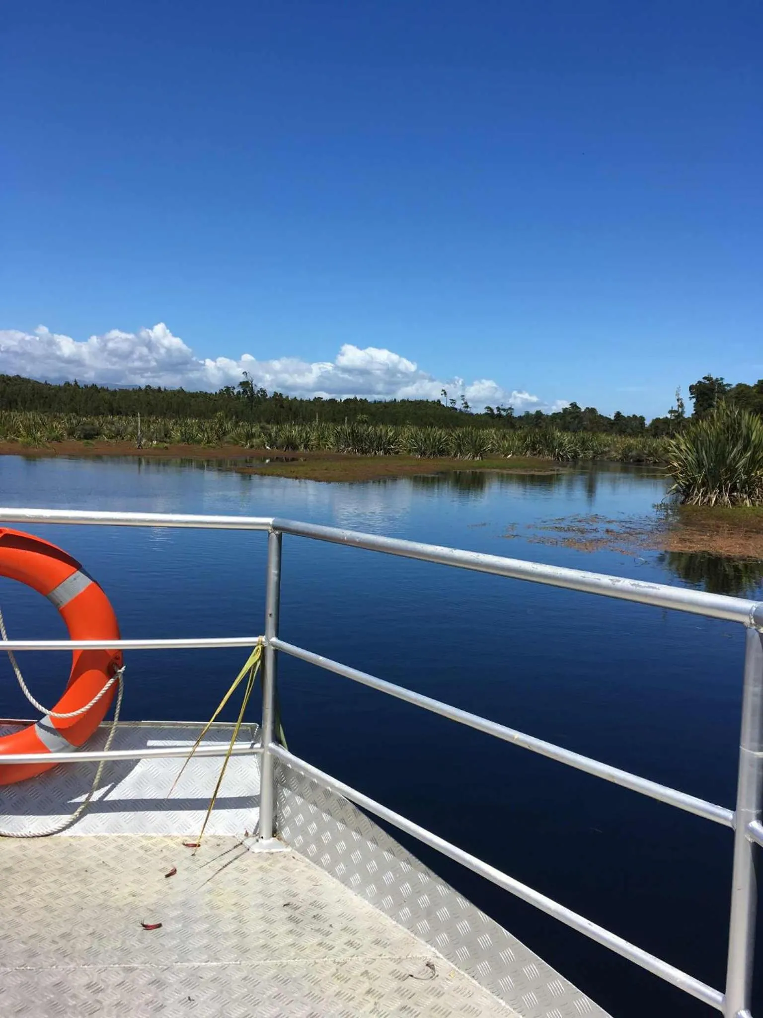 Hokitika - Blue Spur Bed and Breakfast