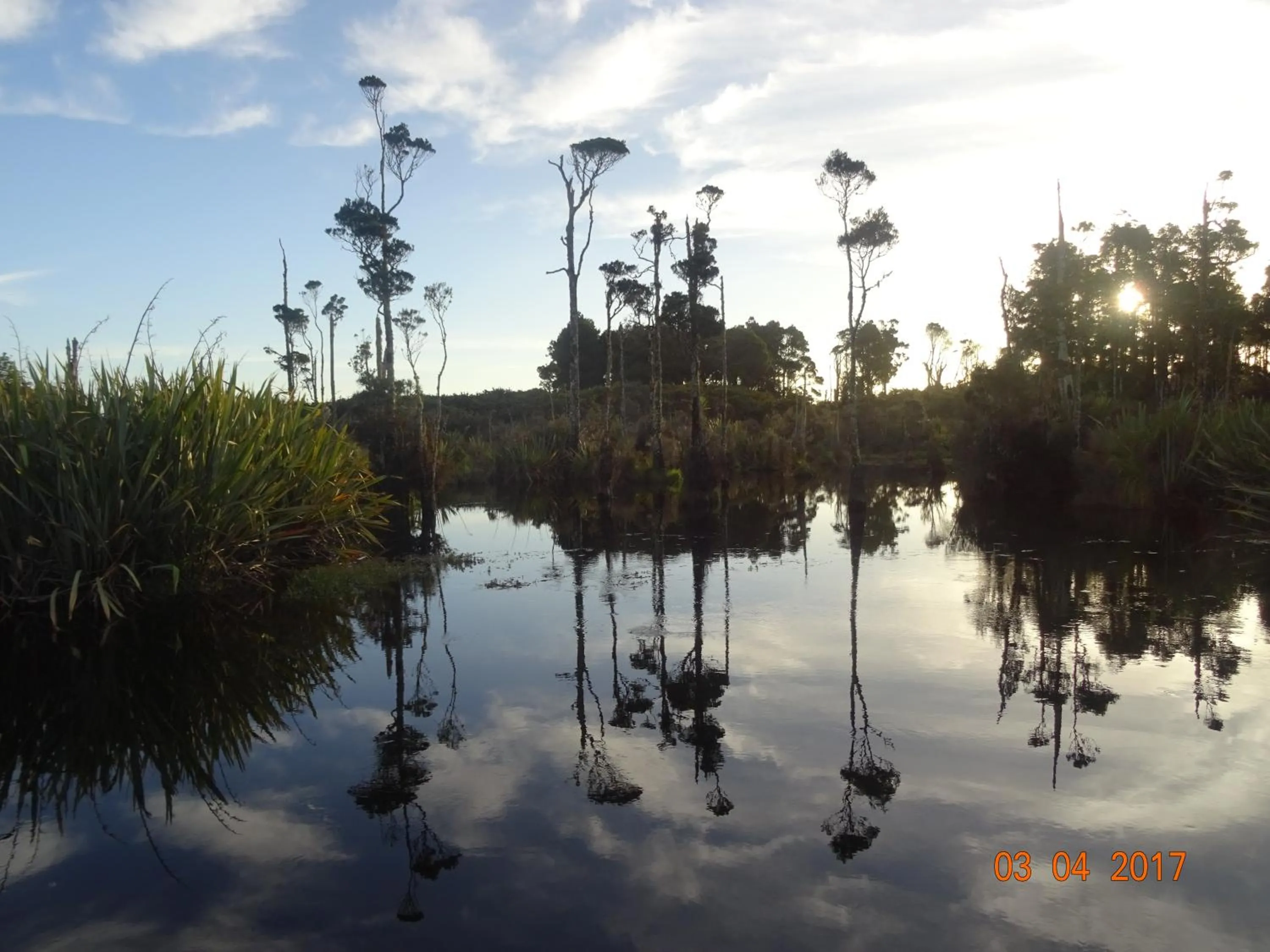 River view in Hokitika - Blue Spur Bed and Breakfast