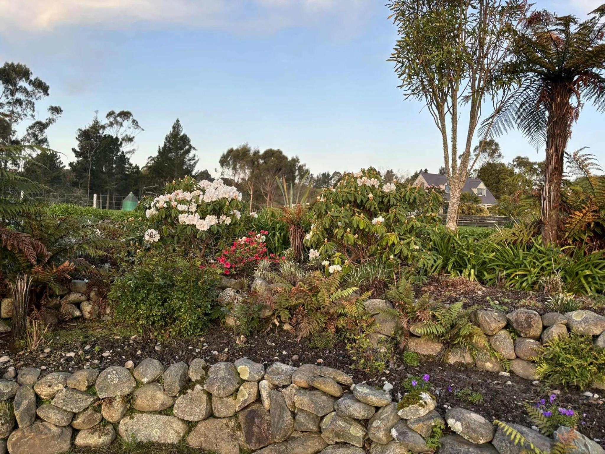 Hokitika - Blue Spur Bed and Breakfast
