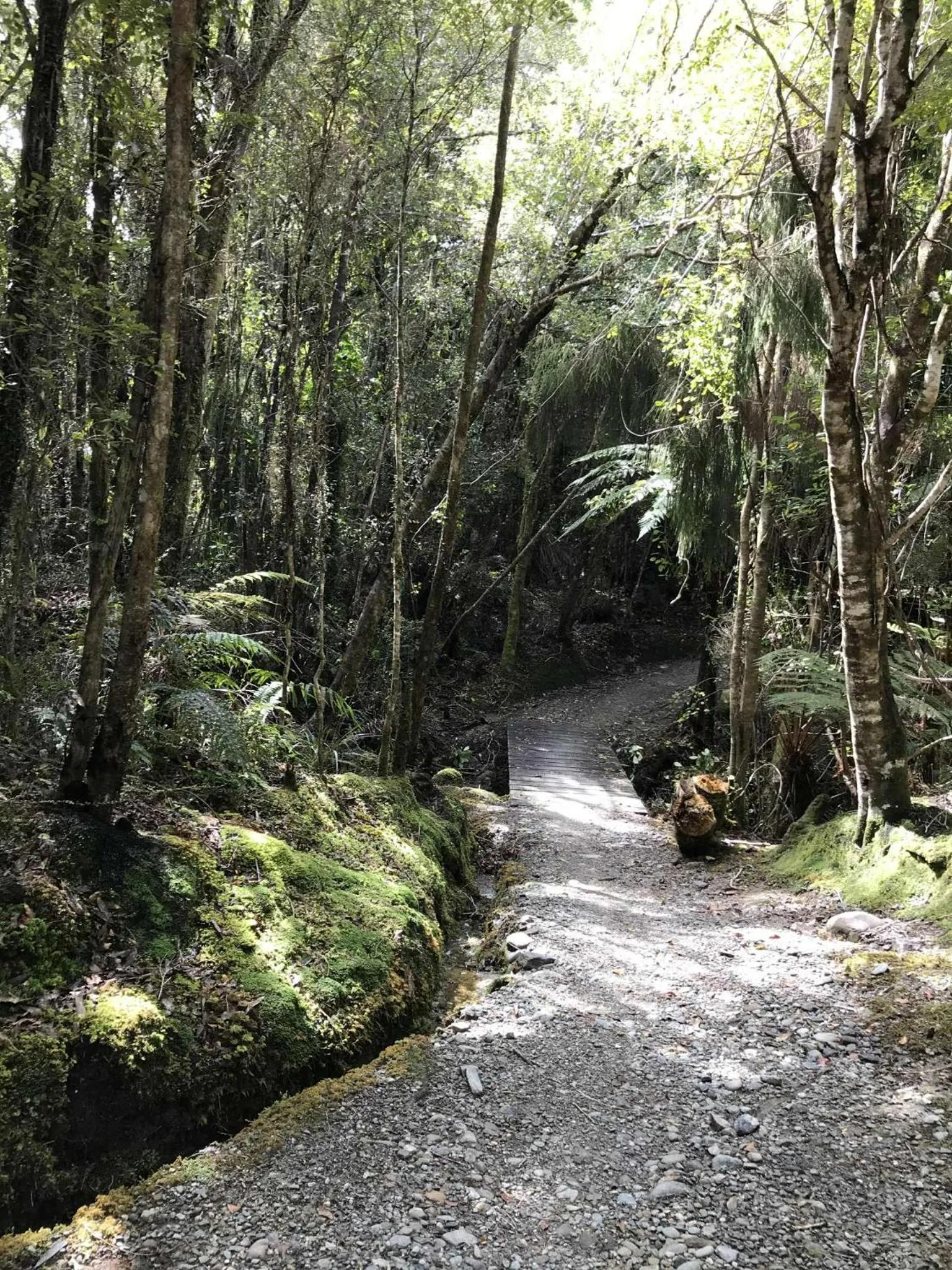 Hokitika - Blue Spur Bed and Breakfast