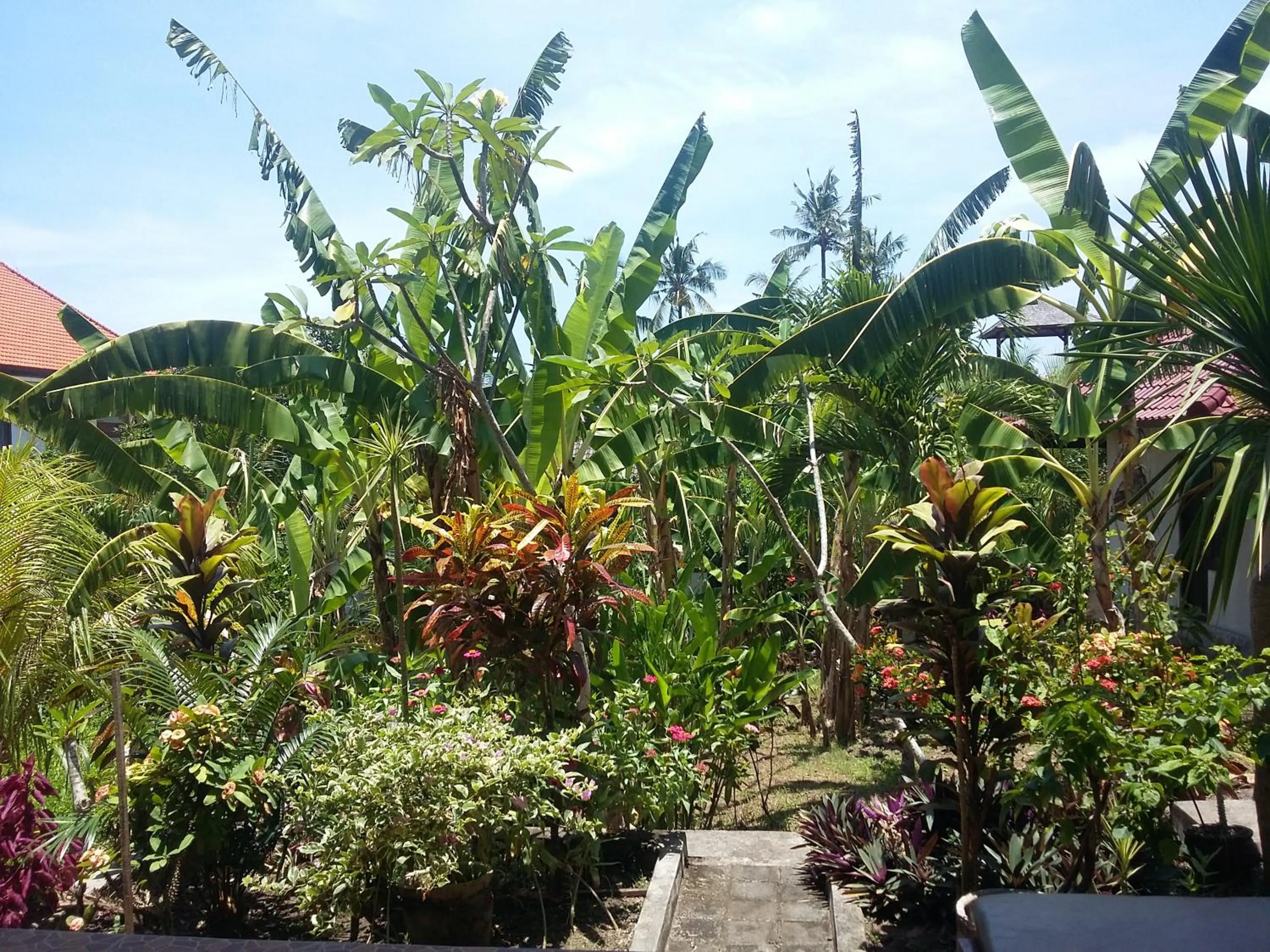 Natural landscape in Surya Homestay