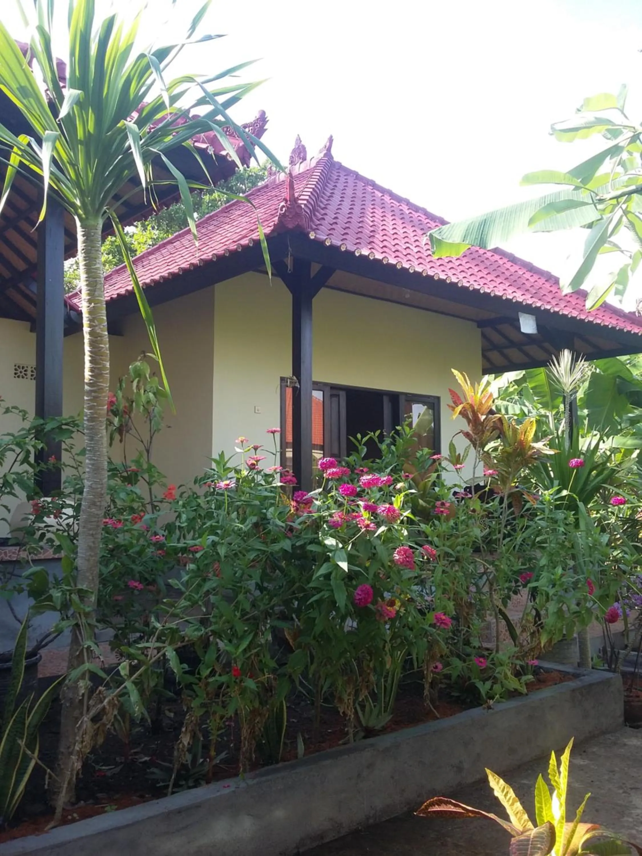Property building in Surya Homestay