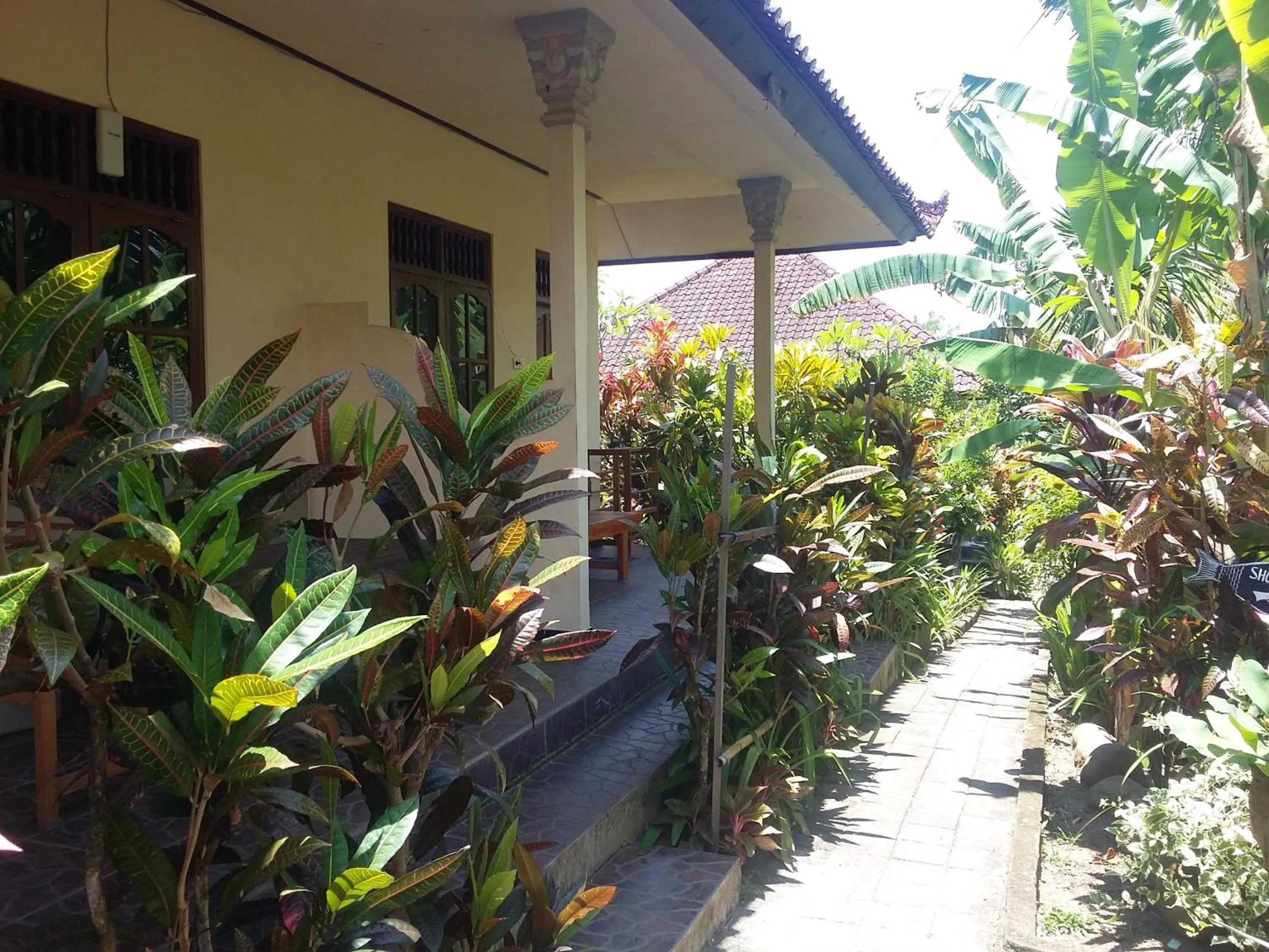 Property building in Surya Homestay