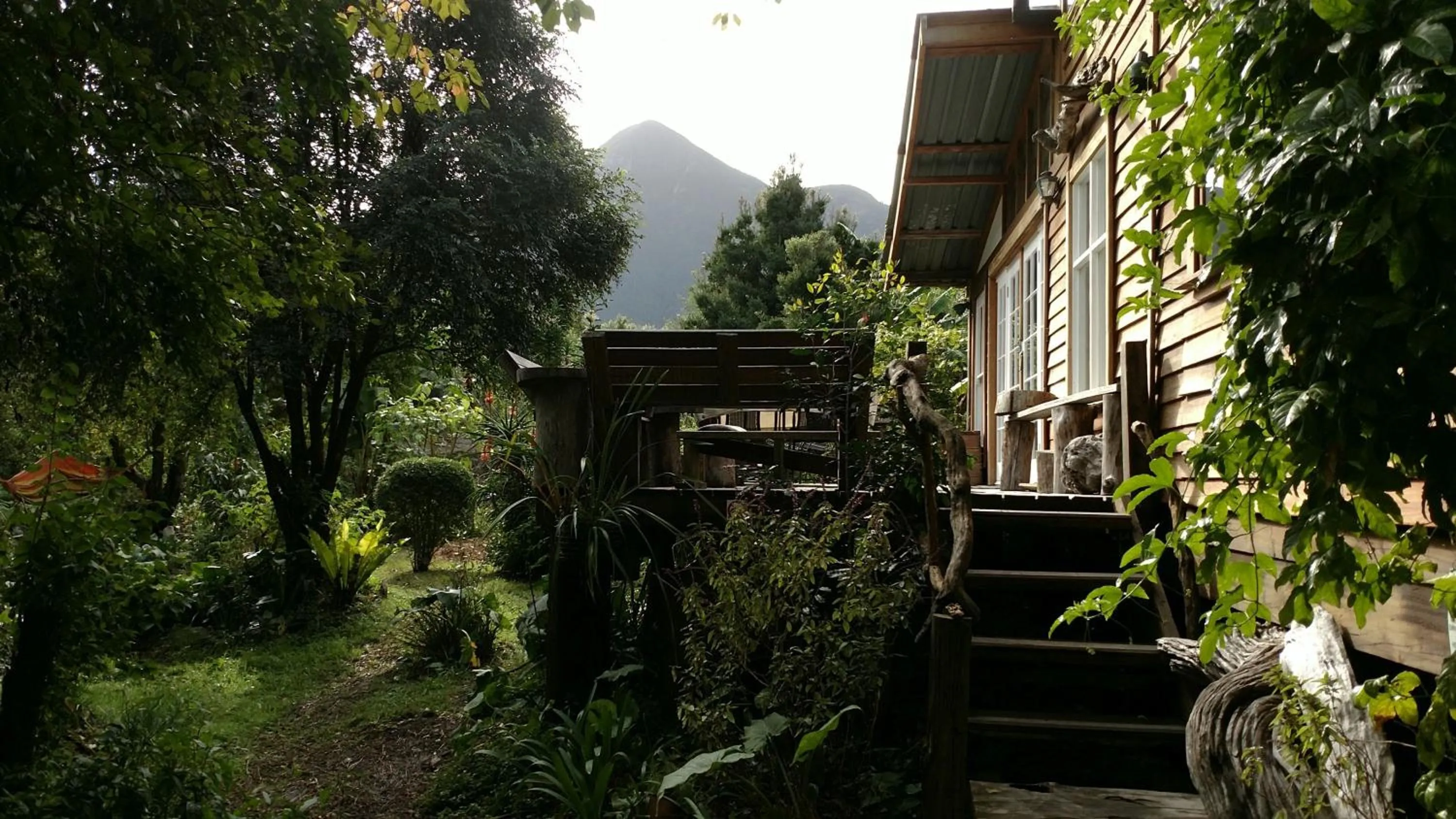 Boutique Vintage Forest Cabin
