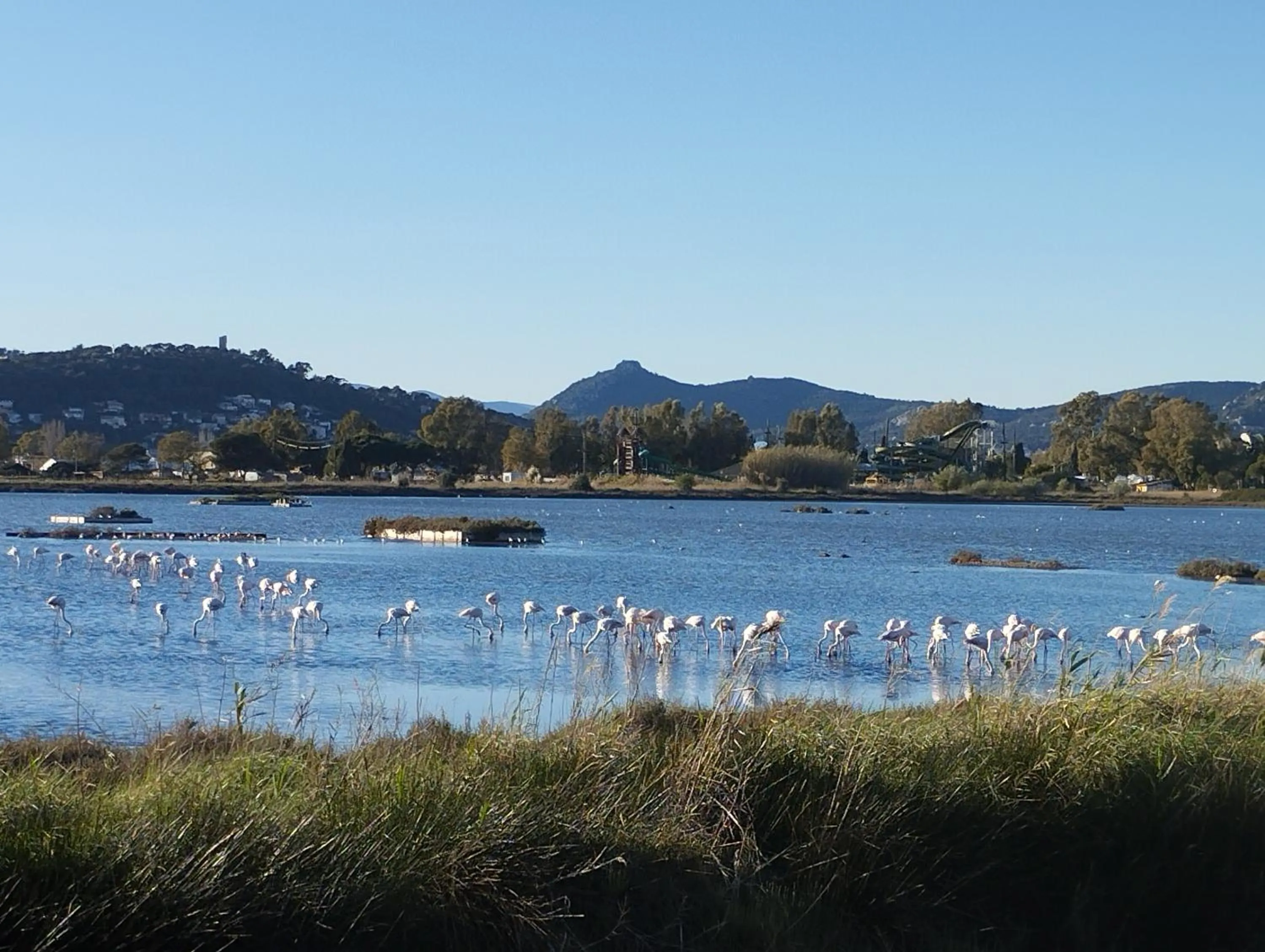 Nearby landmark in Le Surplage
