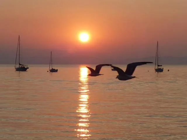 Property building in Le Surplage
