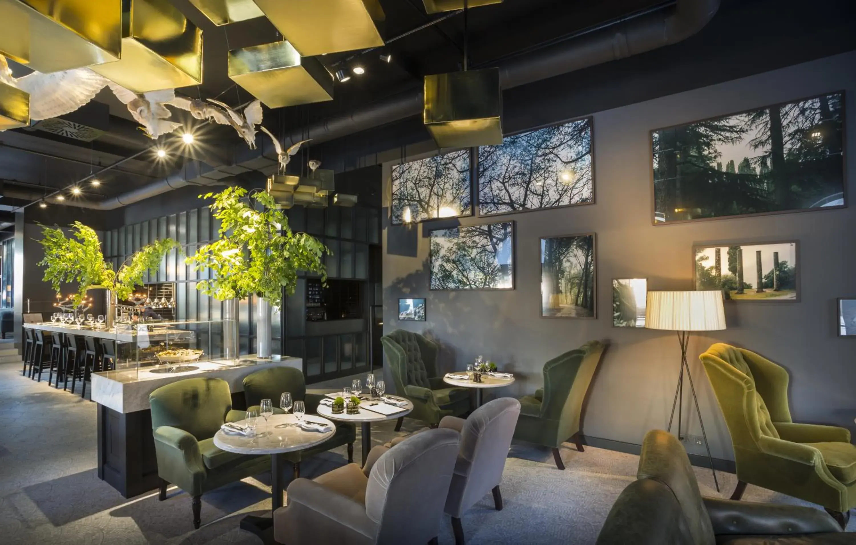 Restaurant/places to eat in Adriatic Hotel by Maistra Collection Restaurant/places to eat in Adriatic Hotel by Maistra Collection