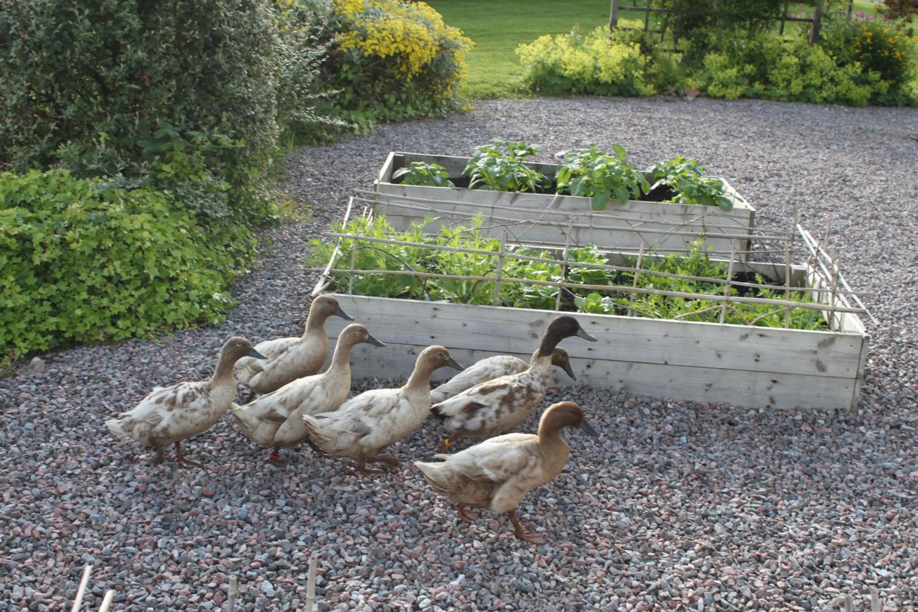 Heatherbank Guest House