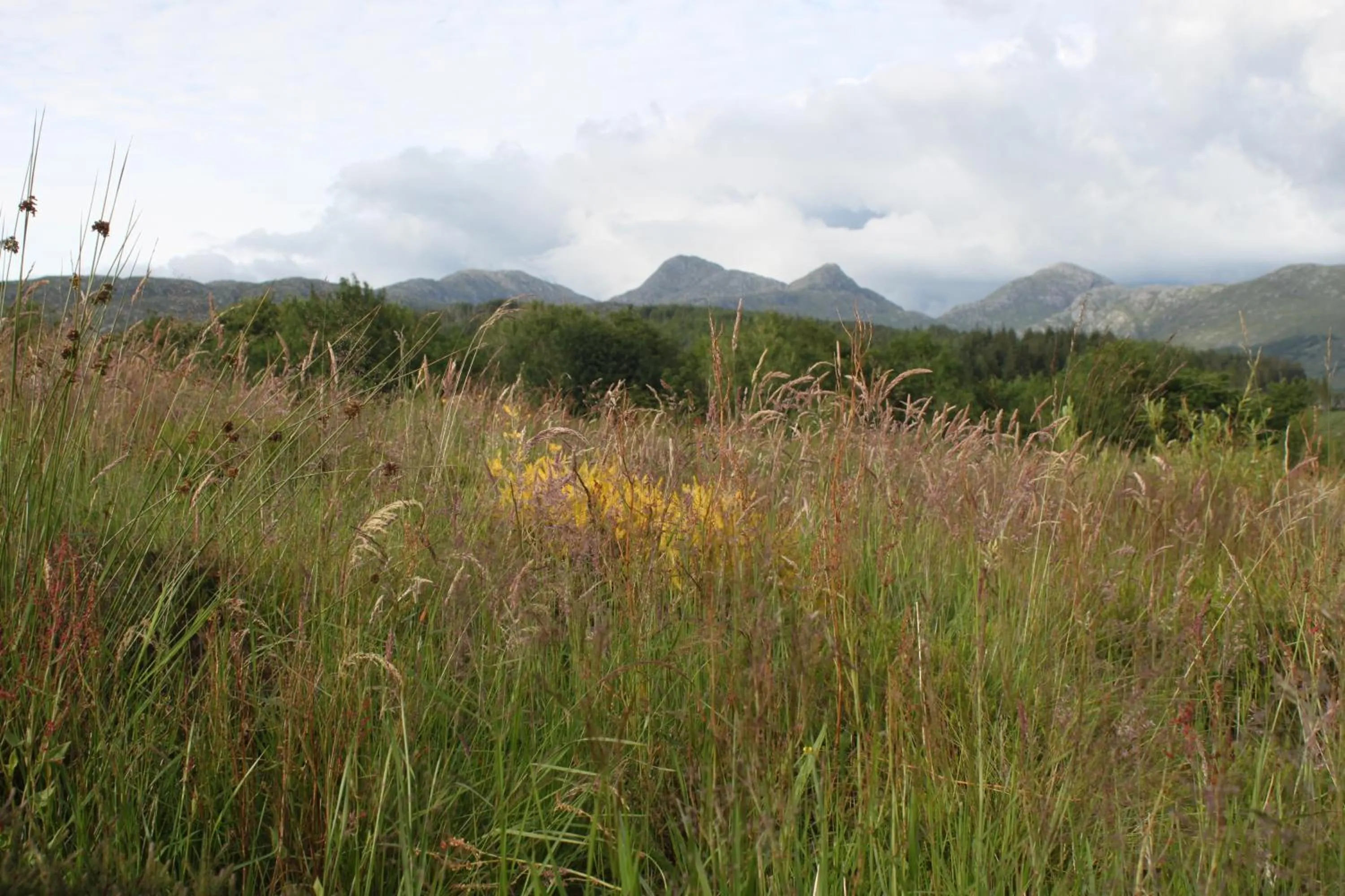 Heatherbank Guest House