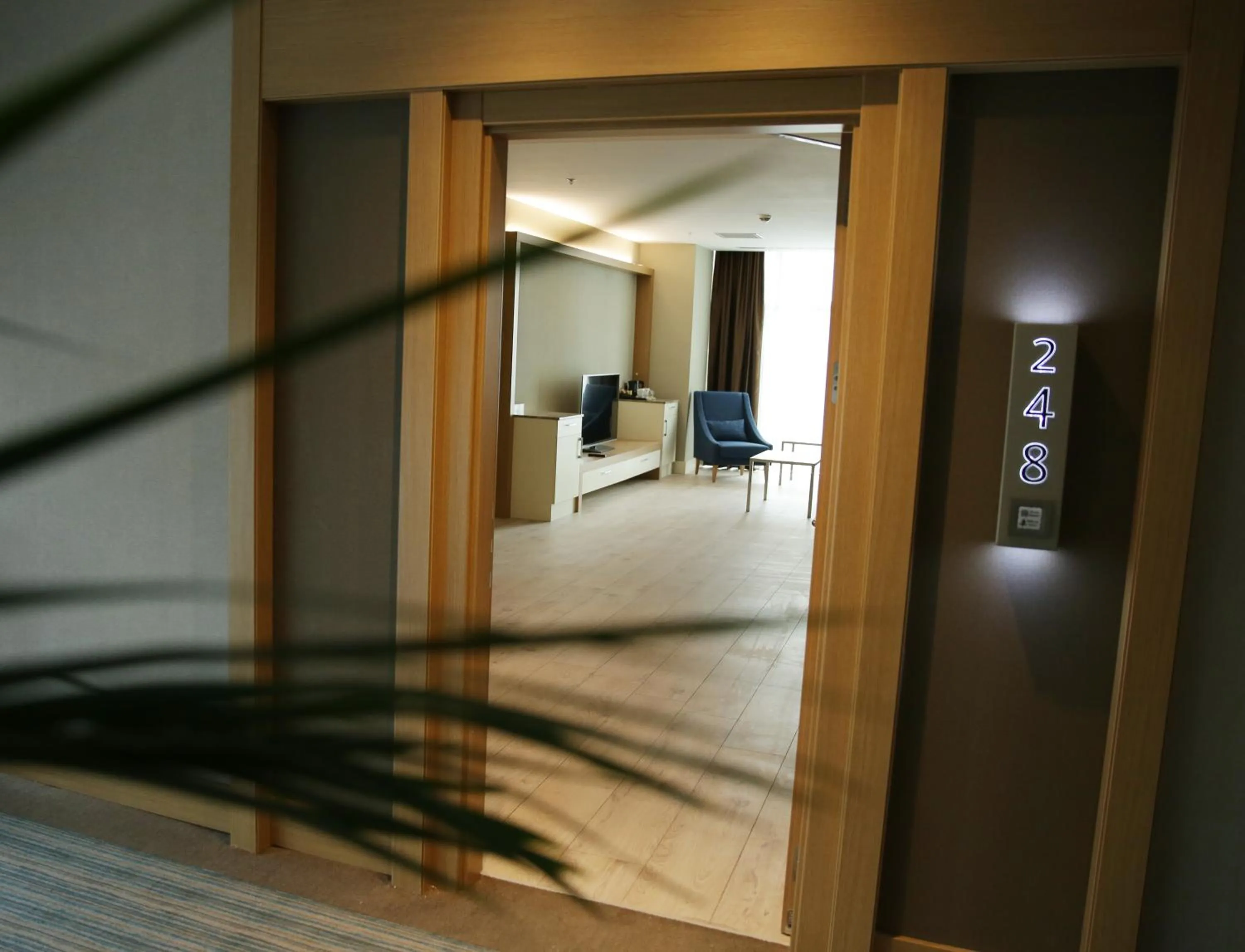 Other in The Ankara Hotel