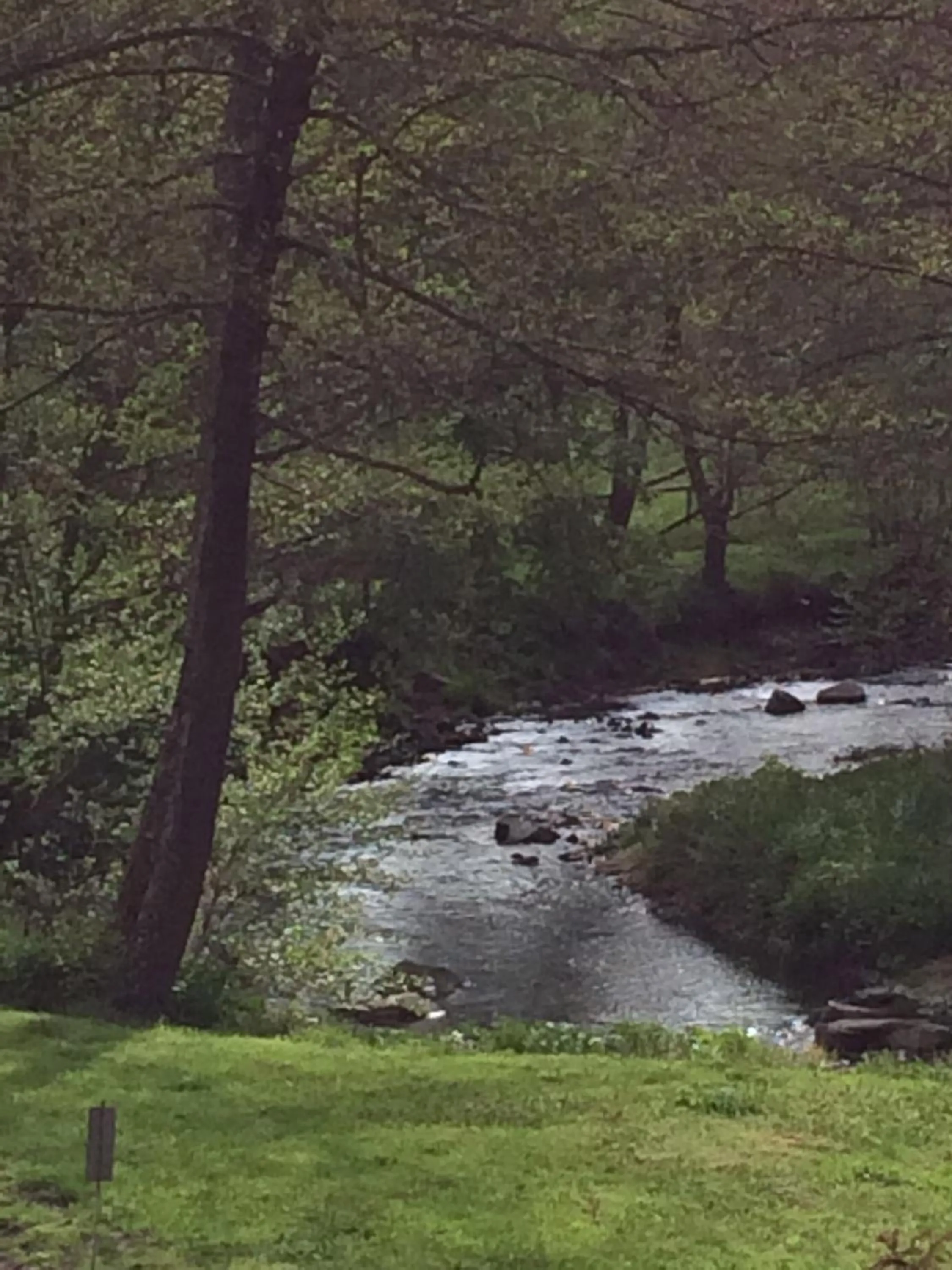 Nearby landmark in Les Sittelles de Bamboche