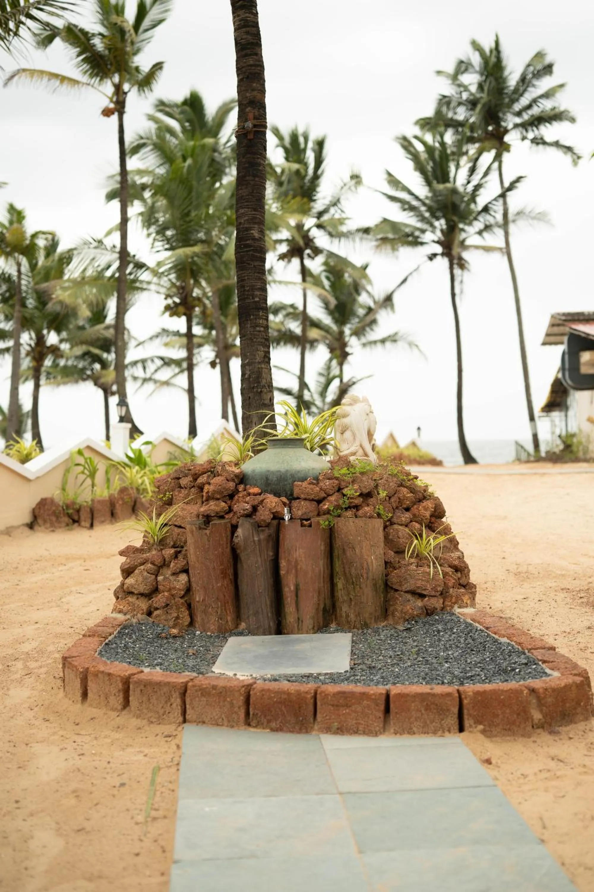 Beach in C Roque Beach Resort