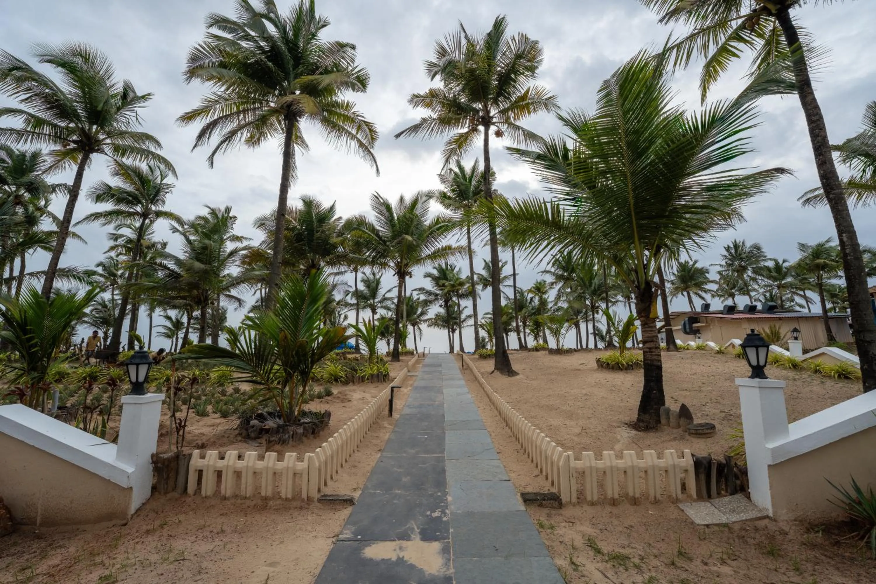 Beach in C Roque Beach Resort