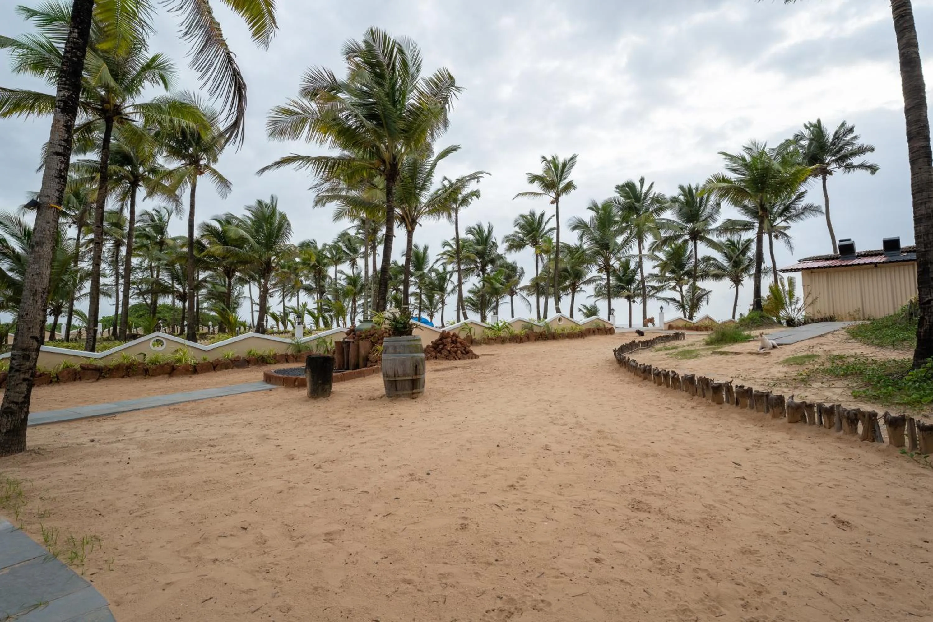 Beach in C Roque Beach Resort