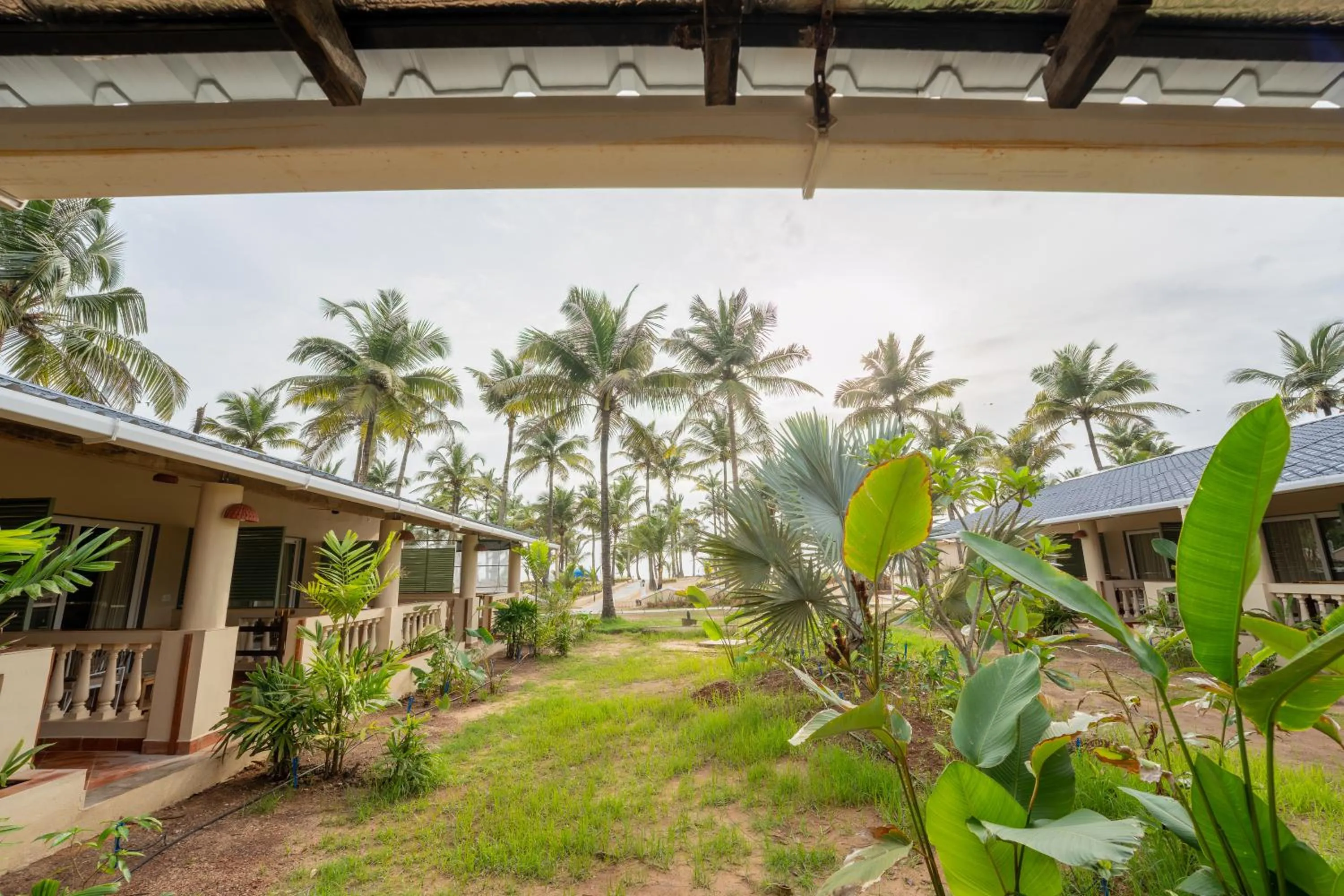 Balcony/Terrace in C Roque Beach Resort
