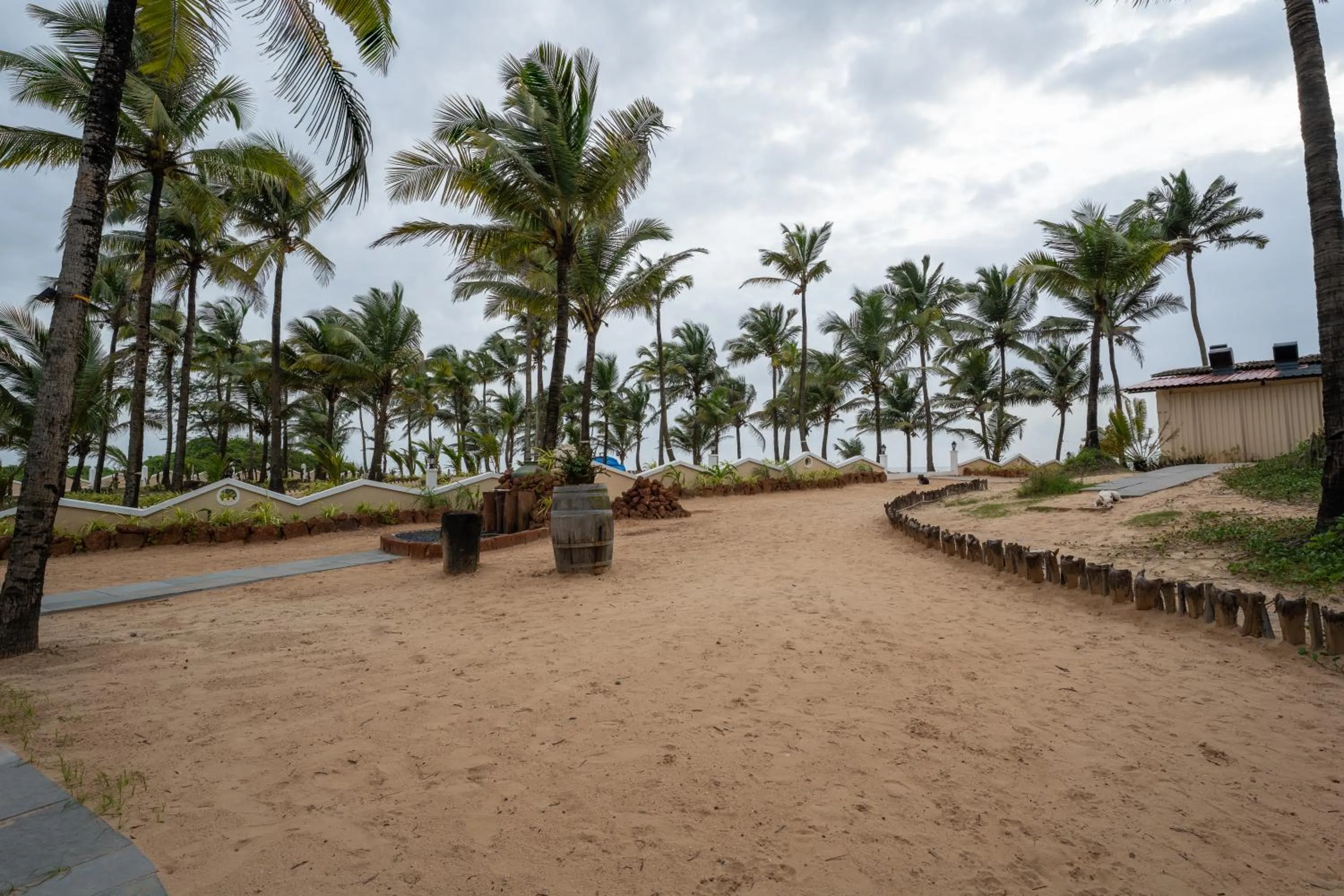 Beach in C Roque Beach Resort