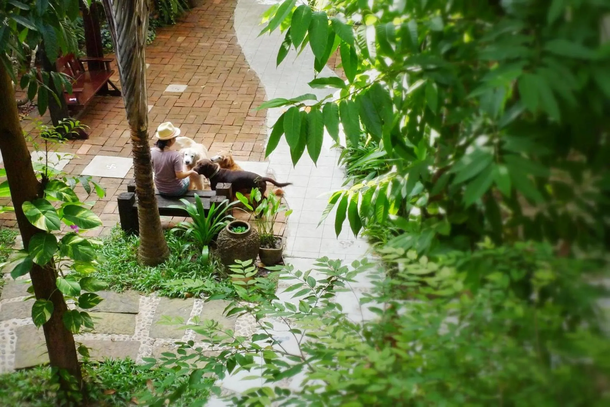 Garden in River Resort & Spa